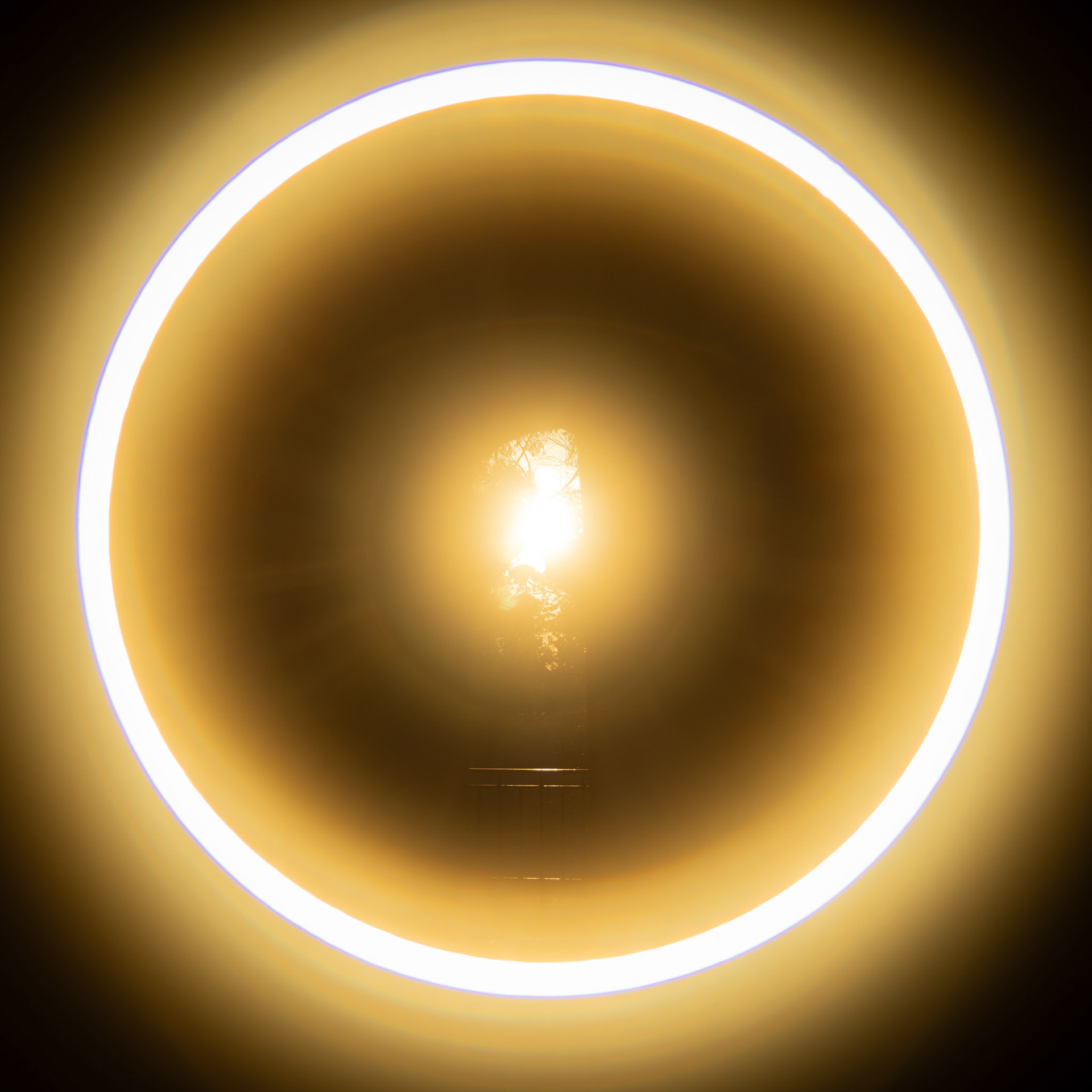 Circumsolar Heliocentrism