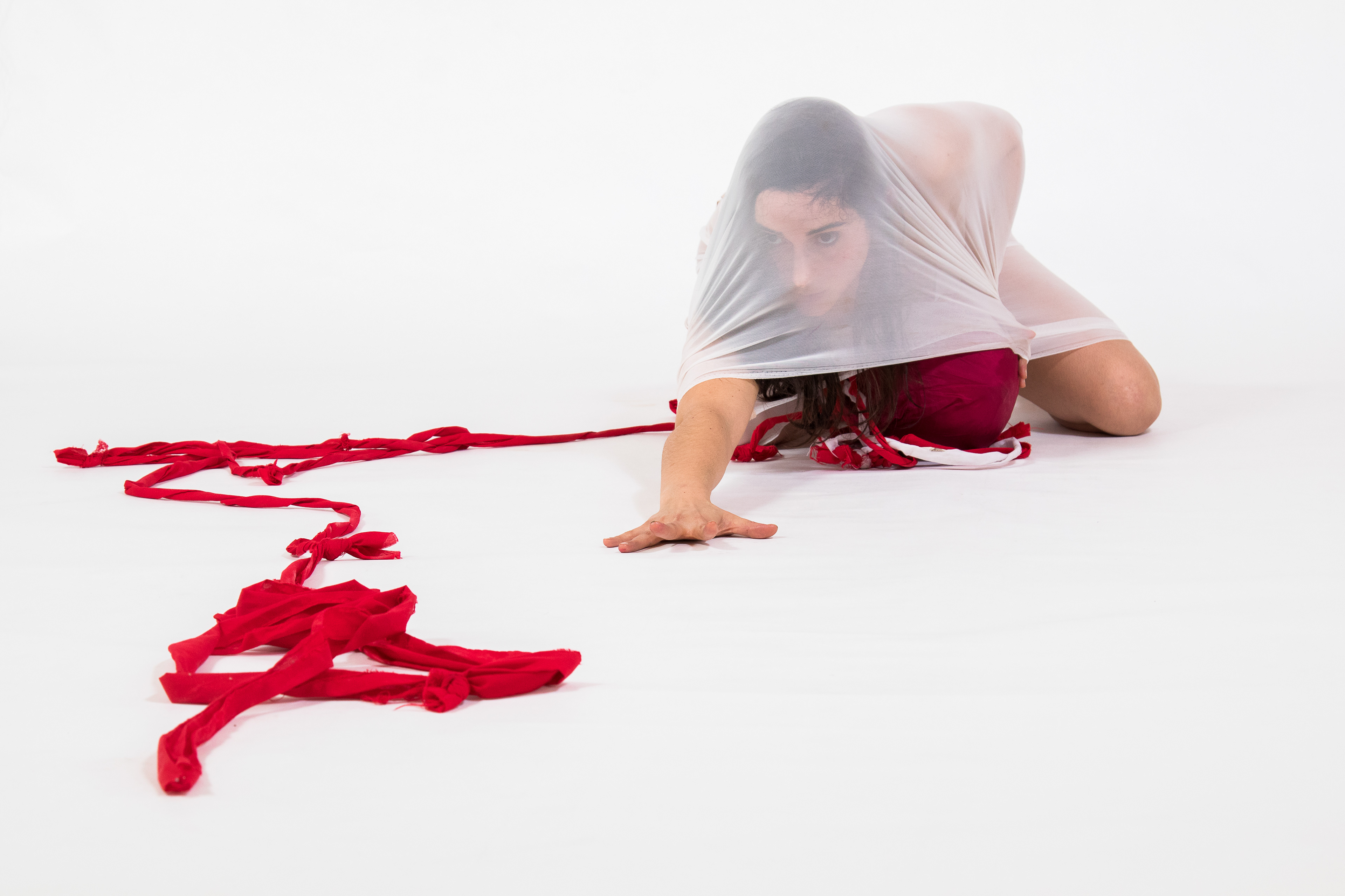 Volver - Calaucalis - 2017