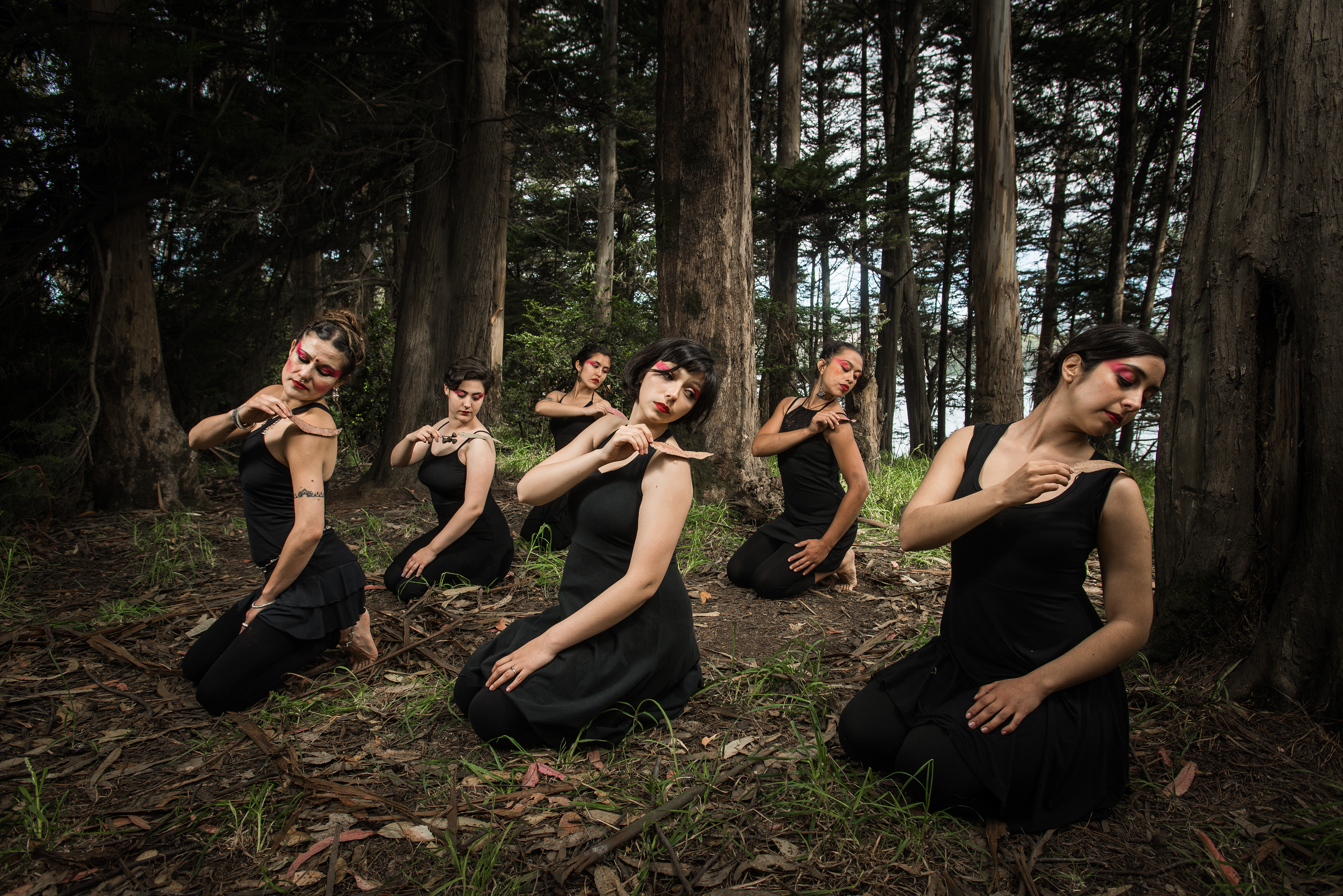 Elefante Blanco - 2016