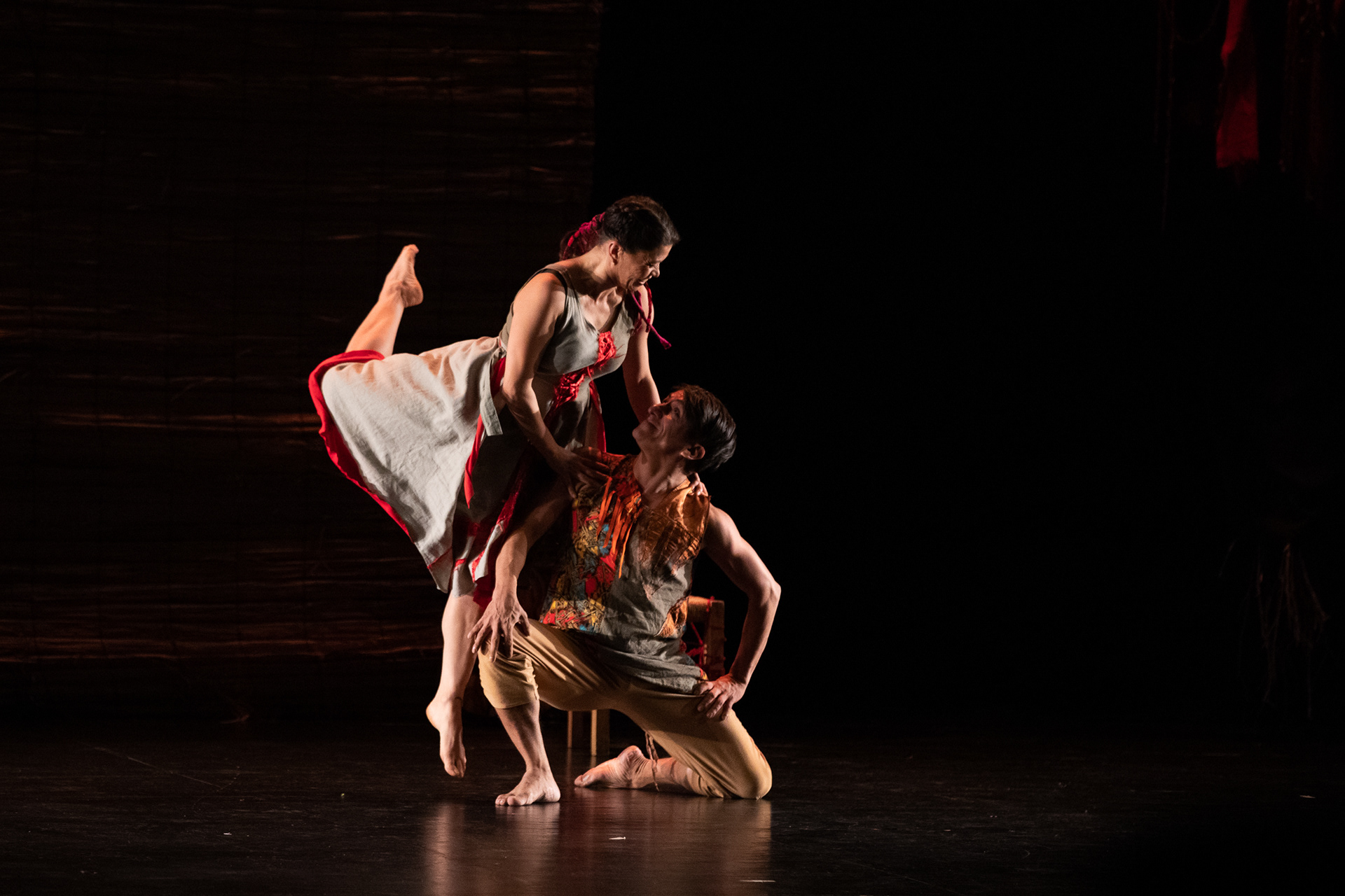 Ay de mi Violeta - Calaucalis