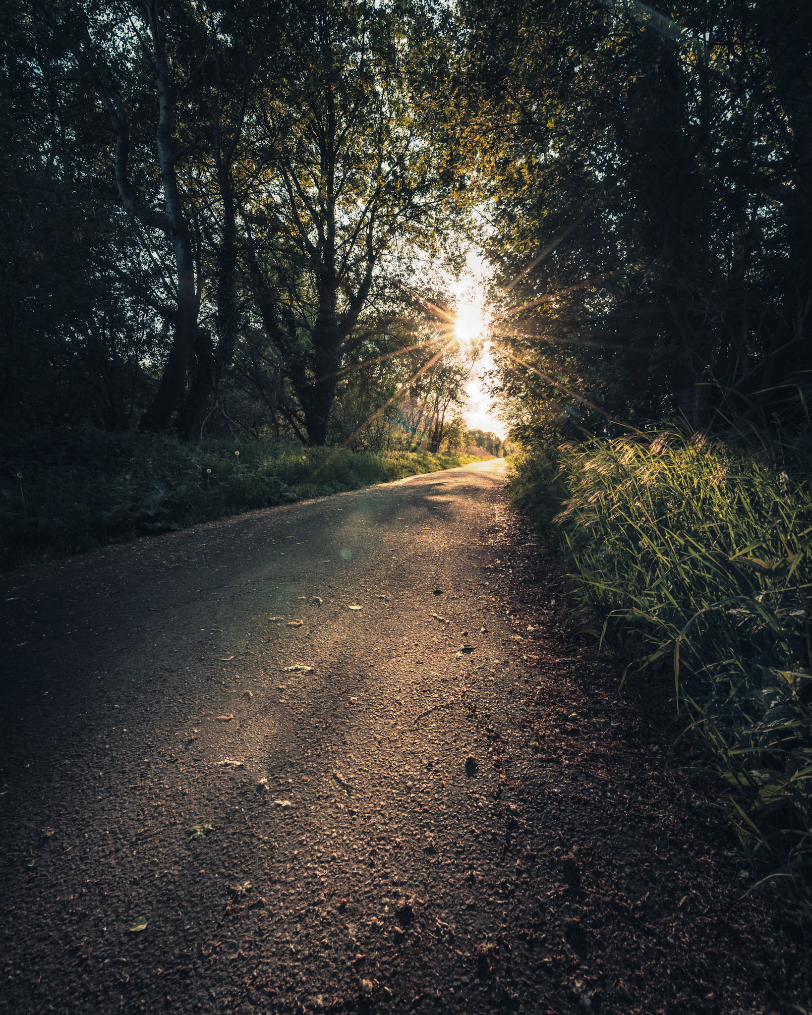 Unterwegs in den Rieselfeldern