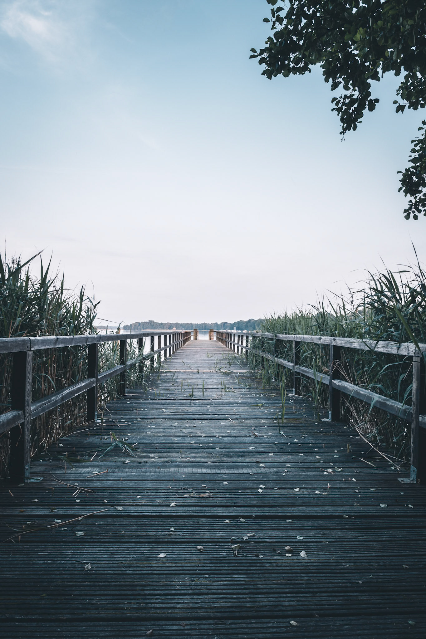 Der Holzsteg am Storkower See