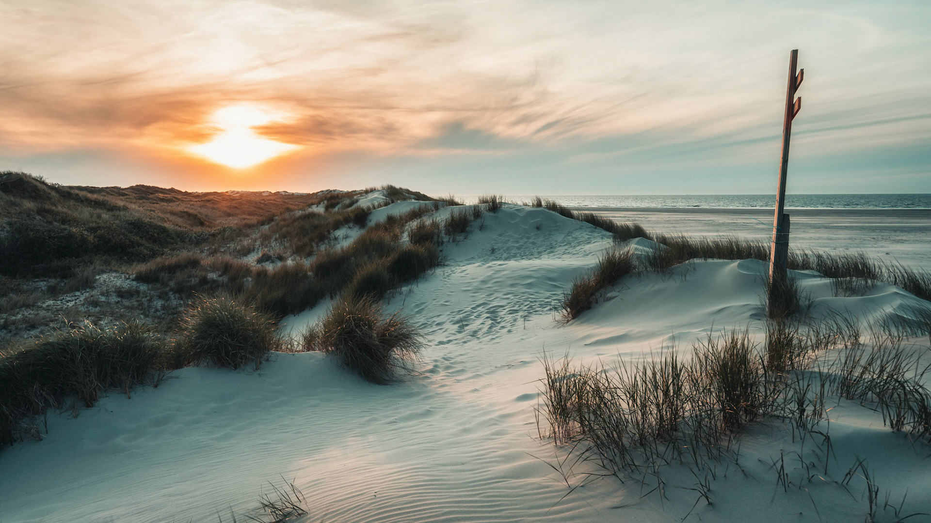 In den Dünen von Spiekeroog
