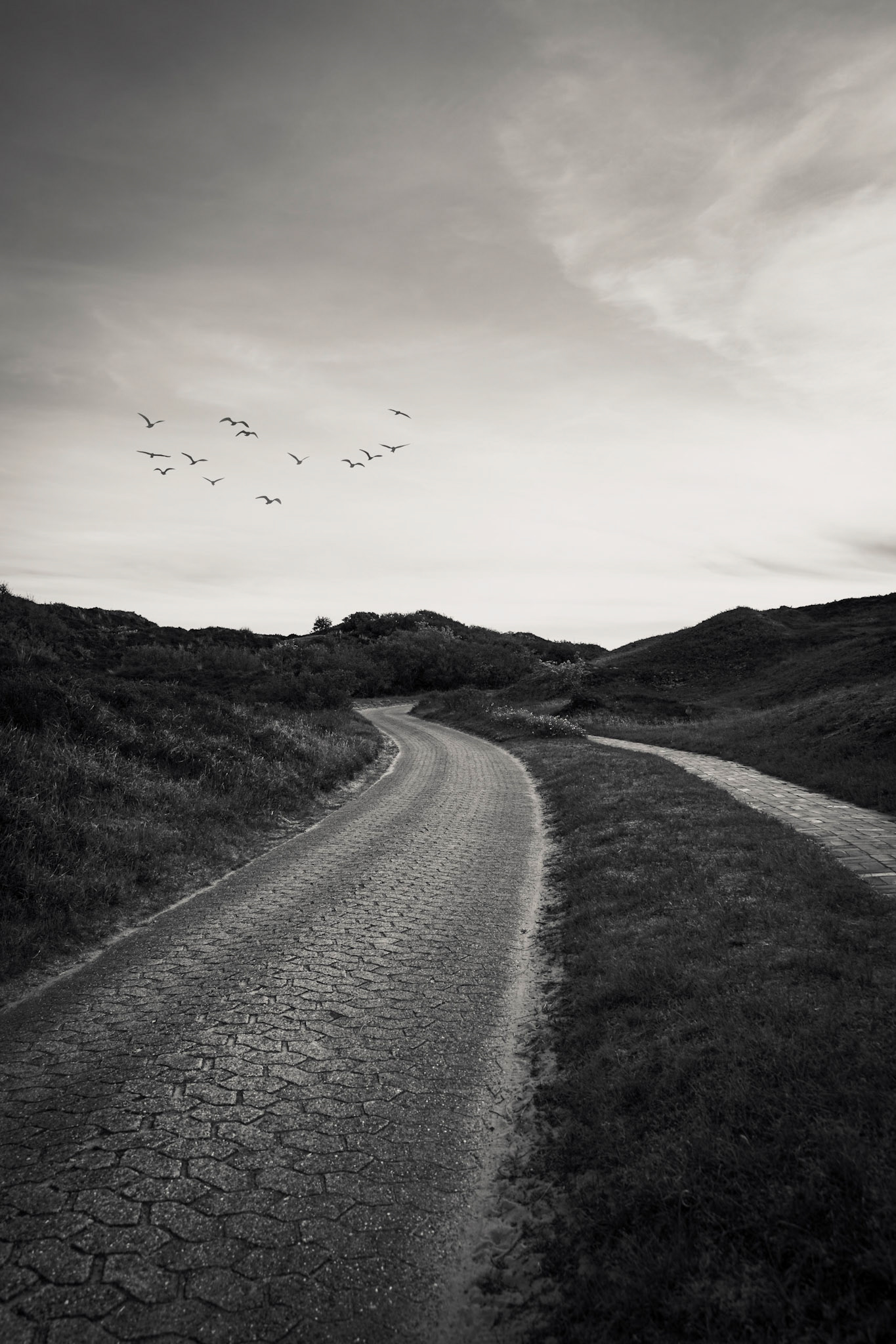 Die Straße durch die Dünen