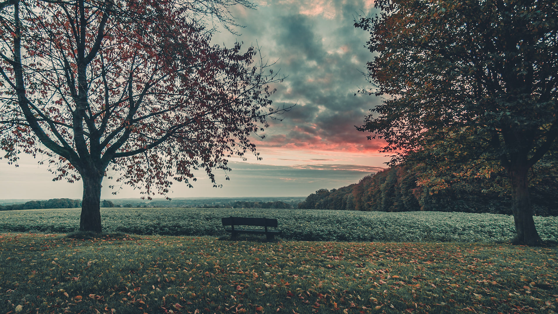 Sonnenaufgang im Münsterland