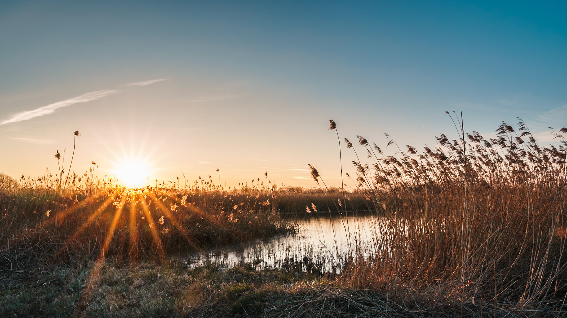 Rieselfelder Münster