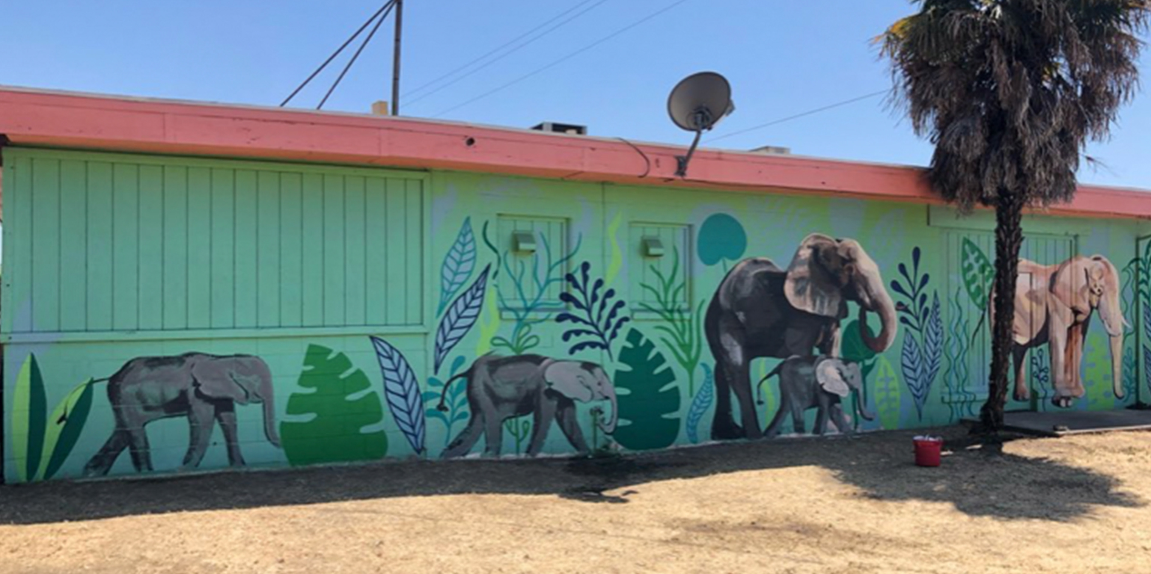 Collaborative mural with Tait Takai for a local restaurant.