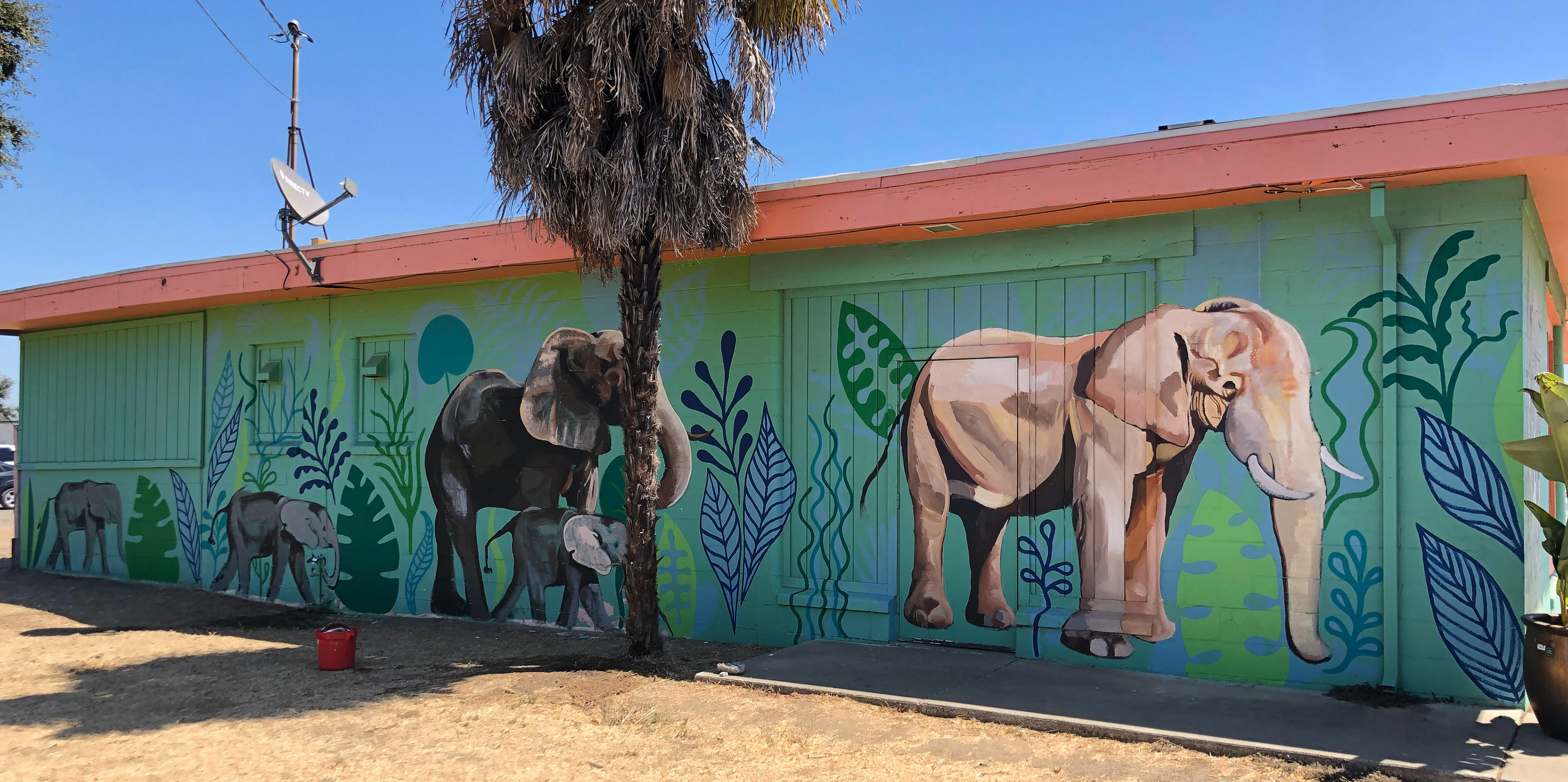 Collaborative mural with Tait Takai for a local restaurant.