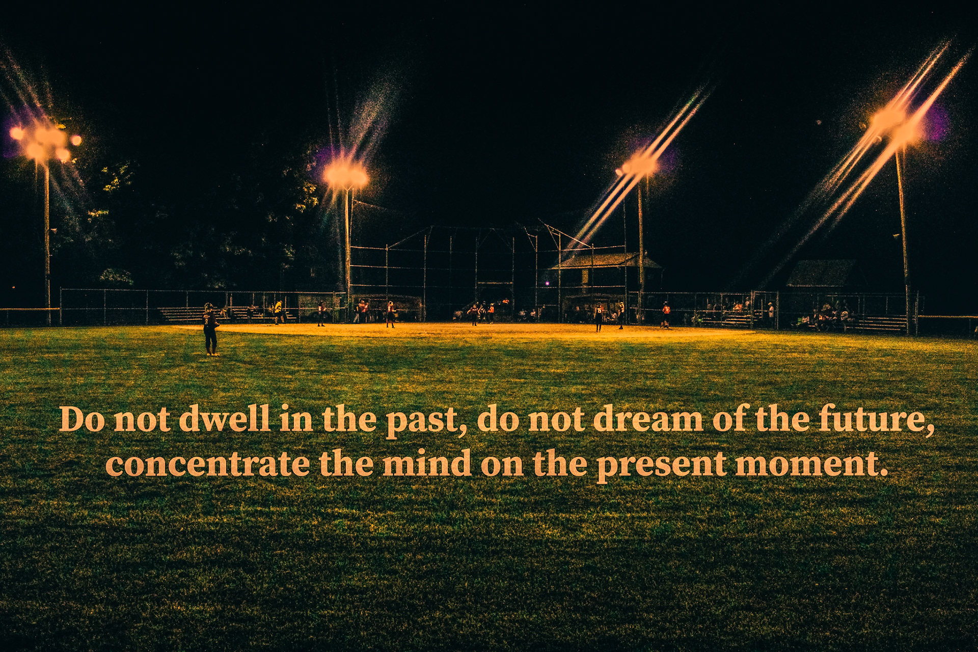 Stay in the Moment