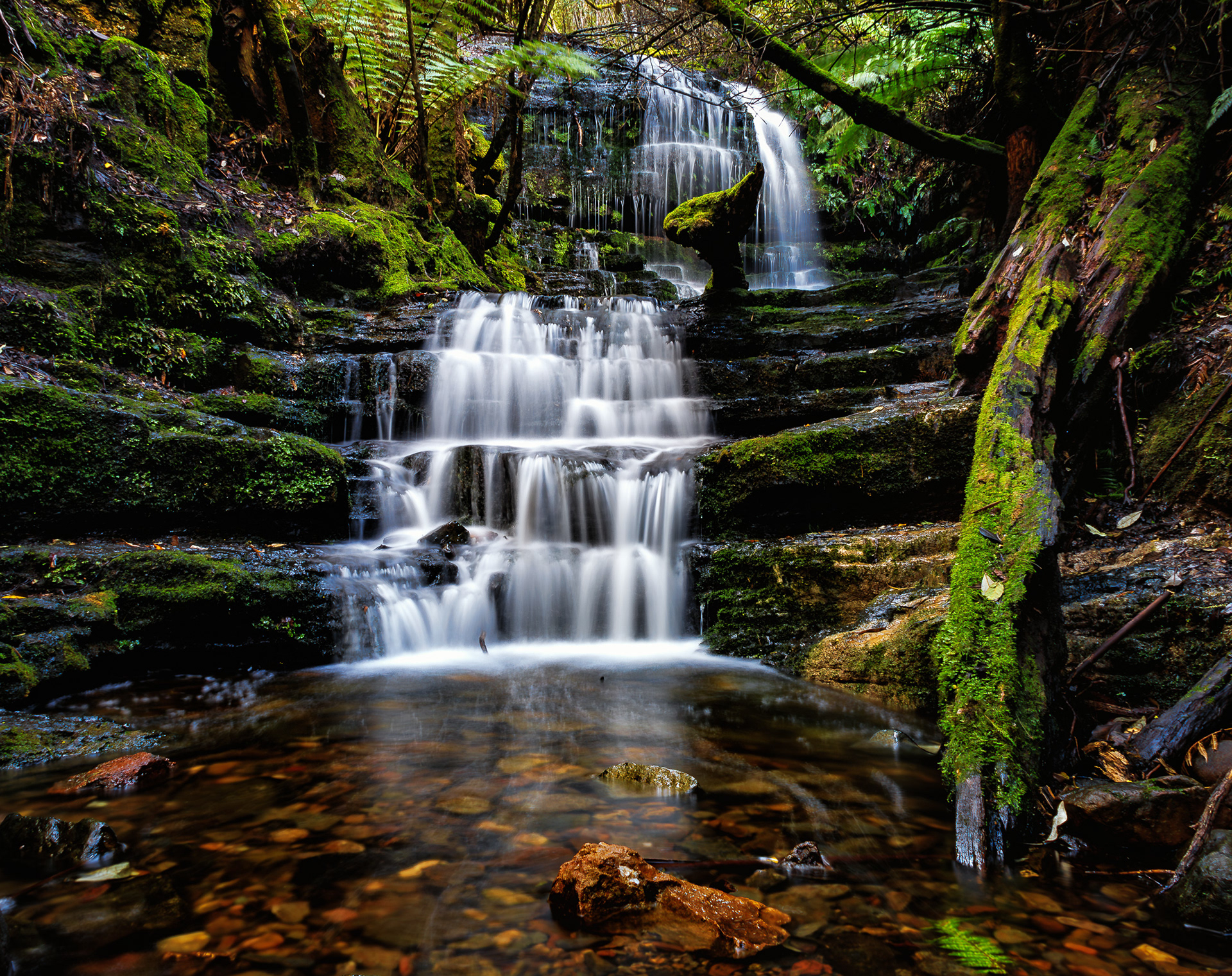 Myrtle Gully Falls