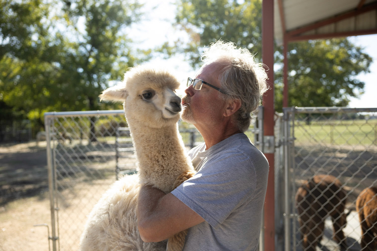 FURRY YOGA SESH- Alpaca Yoga attendees begin to form yoga position, Warrior One on Dec. 15, 2023, while the alpacas graze food around them. “I would love for one of the kids to take this over. I've got four boys. I would love for this legacy to live on within the family, it chokes me up a bit. You know, the beautiful thing about this place is that it gives people within the community some place to come to,” Foster said. Photo by Alaina Jones