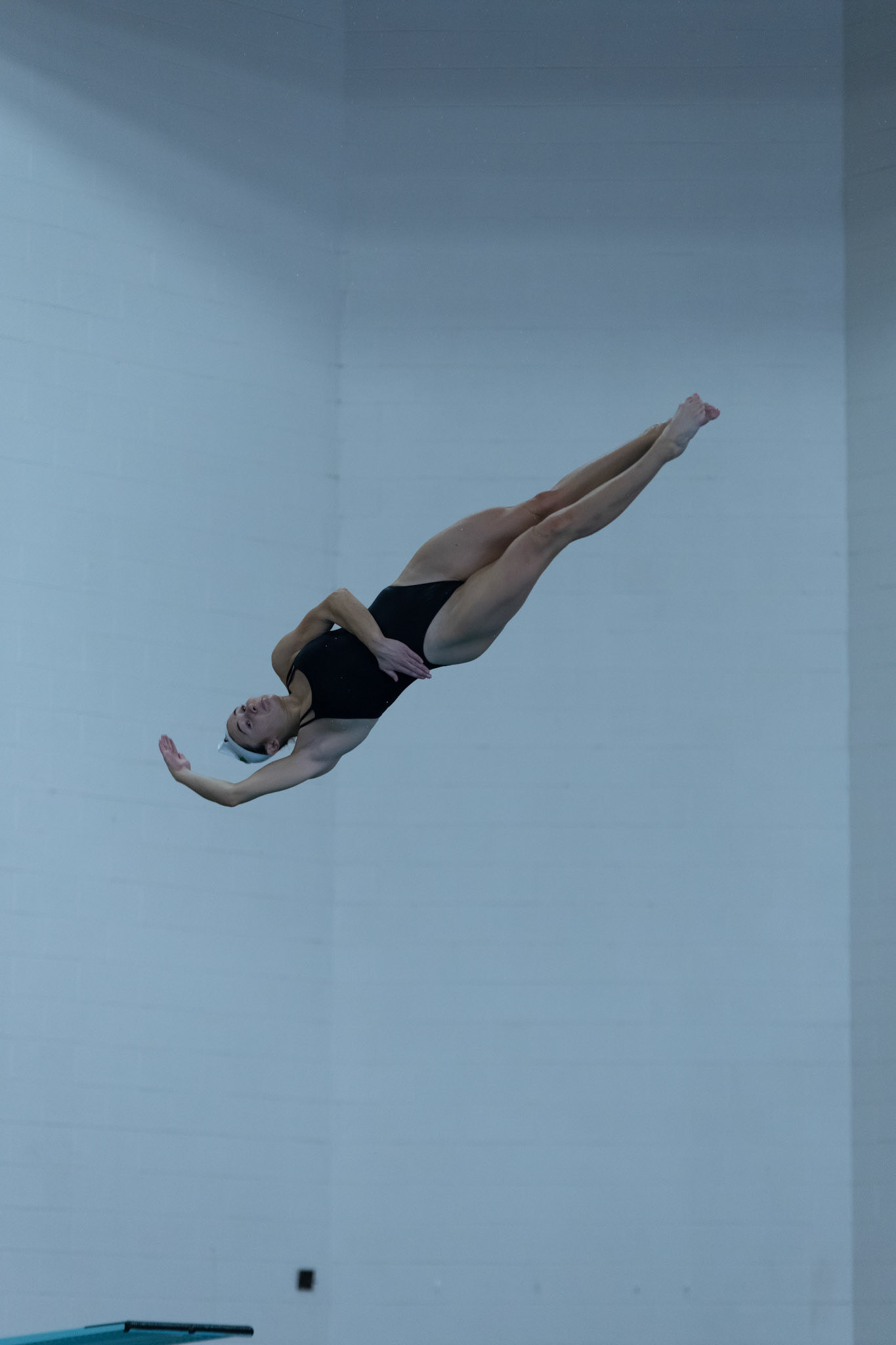 DIVING INTO ACTION- Denton, TX November 19, 2024  Sophomore diver, Sydney Guidara practices the twist as she dives into Nov. 13 practice at the PEB Natatorium. By Alaina Jones