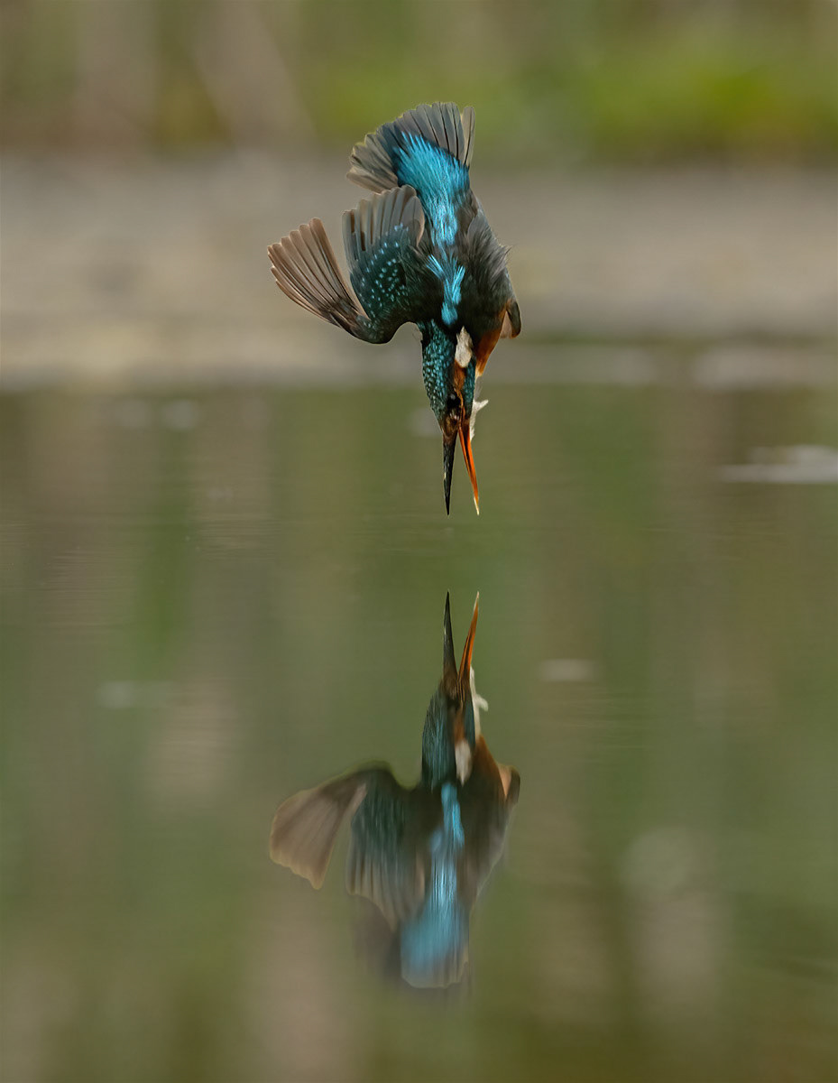 Manchester Athletics