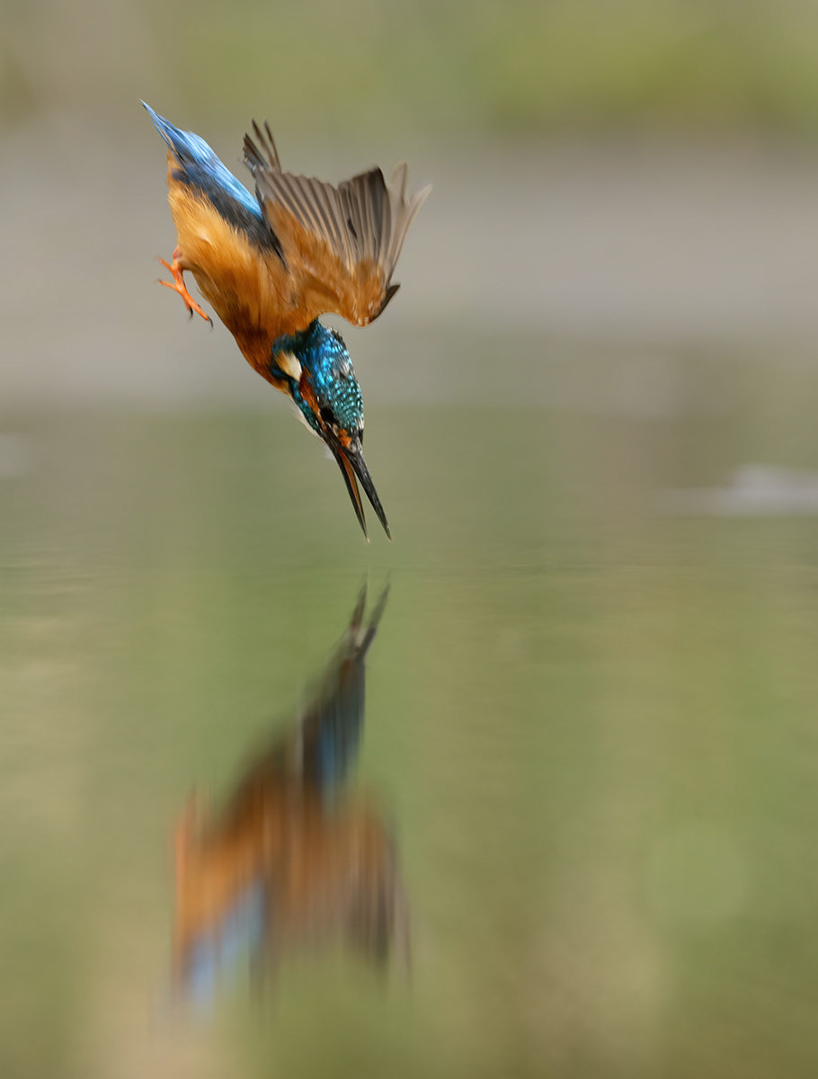 Manchester Athletics