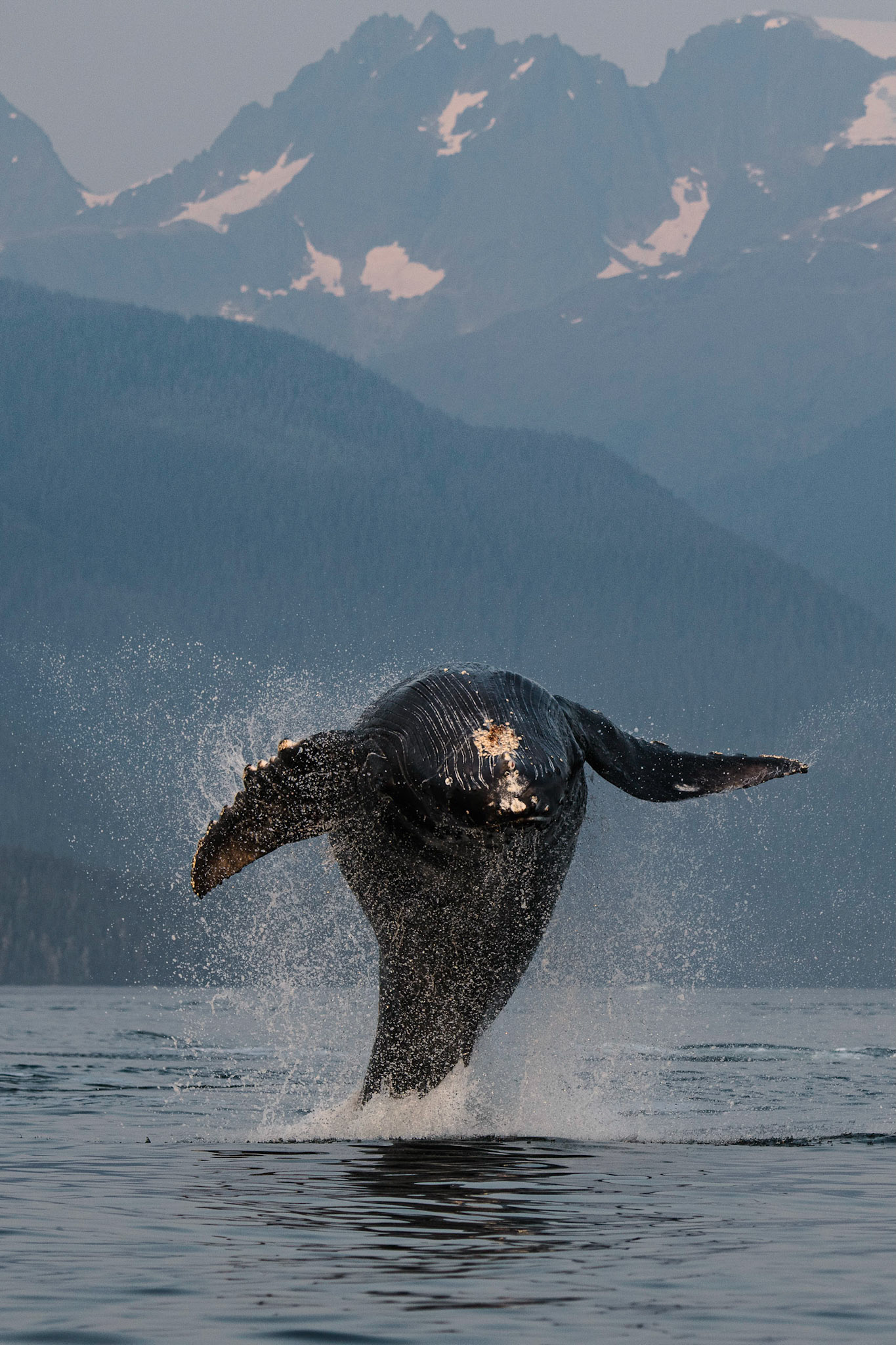 Once More Unto The Breach