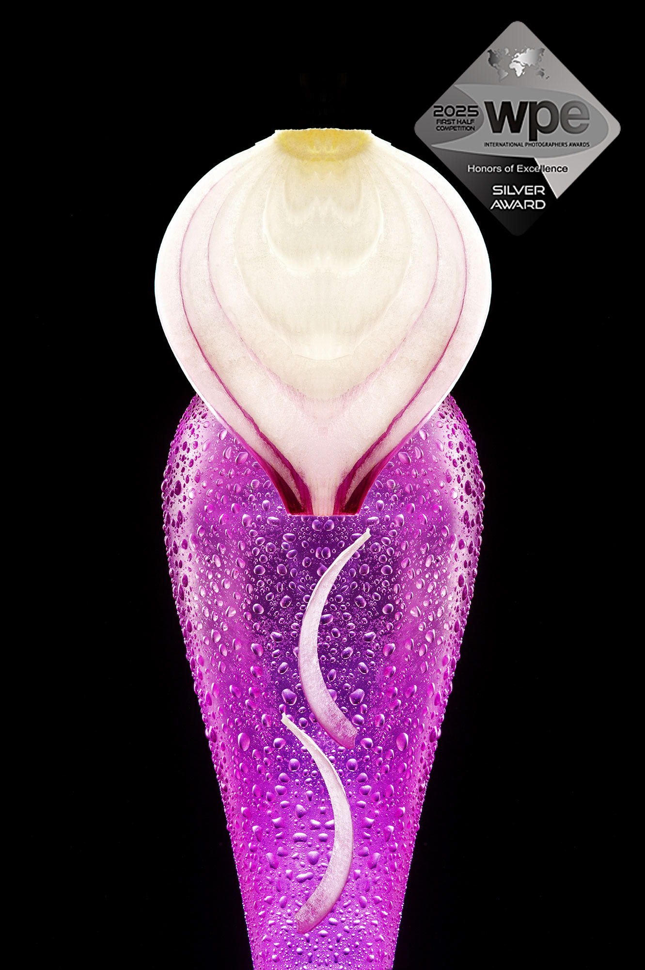 ροζ γυάλινο βάζο με σταγόνες νερού και μια φέτα κόκκινου κρεμυδιού να είναι πάνω του σε μαύρο φόντο