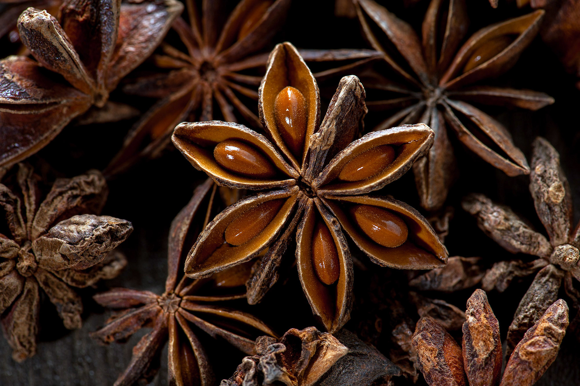 Μια εντυπωσιακή macro φωτογραφία fine art food photography που εστιάζει στις γεωμετρικές λεπτομέρειες και τους σπόρους ενός αστεροειδούς γλυκάνισου, περιτριγυρισμένου από μπαχαρικά, από τη φωτογράφο Βούλα Γκώτη.  An impressive macro fine art food photography close-up focusing on the geometric textures and seeds of a star anise pod, surrounded by aromatic spices, by photographer Voula Gkoti.