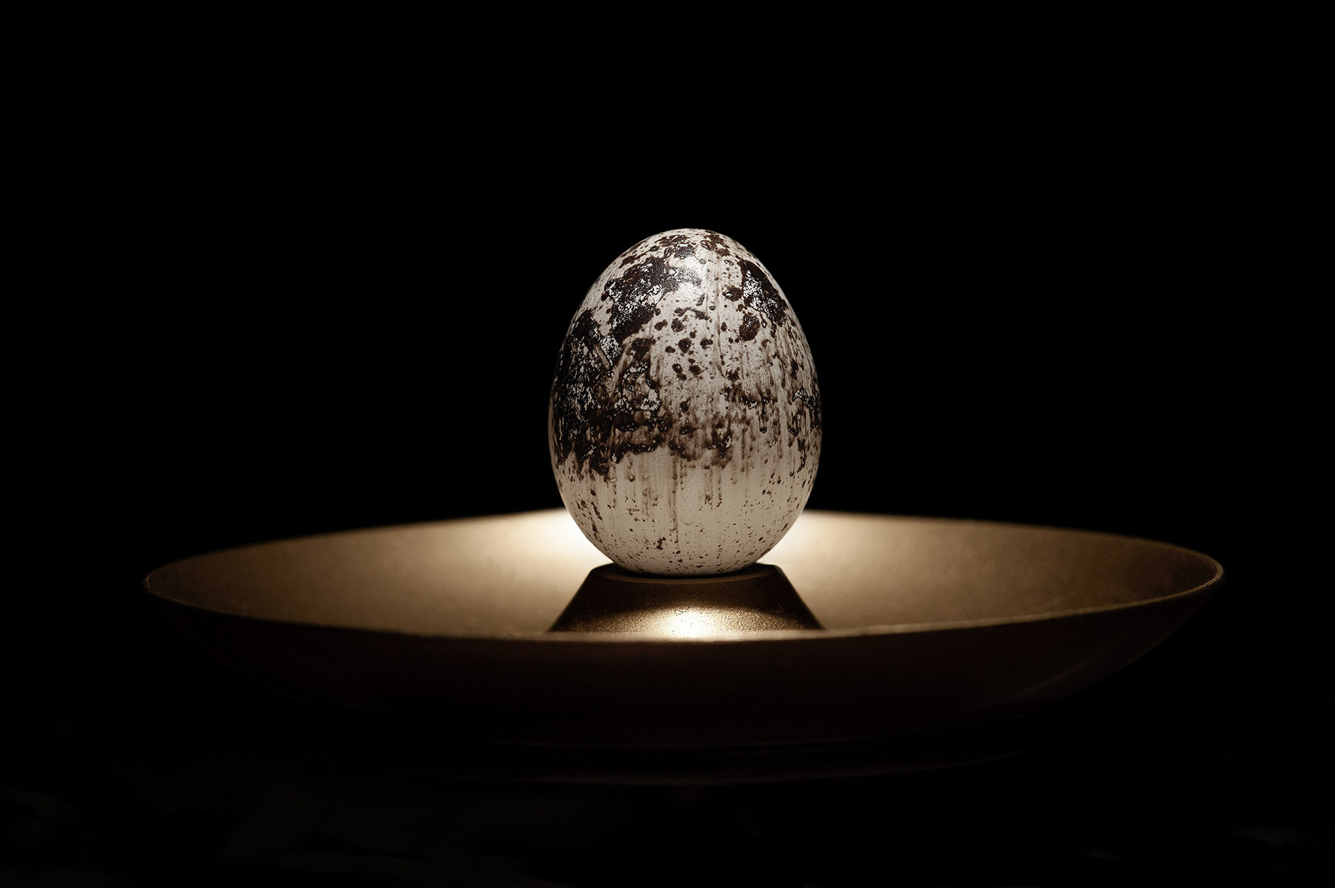 Μια κινηματογραφική φωτογραφία fine art food photography, όπου ένα πιτσιλωτό αβγό ορτυκιού φωτίζεται υποβλητικά στο κέντρο ενός χρυσού, μπρούτζινου πιάτου, αναδυόμενο μέσα από έντονες σκιές σε βαθύ μαύρο φόντο, από τη φωτογράφο Βούλα Γκώτη. A cinematic fine art food photography piece featuring a speckled quail egg dramatically illuminated at the center of a golden bronze plate, emerging from deep shadows against a black background, by photographer Voula Gkoti.