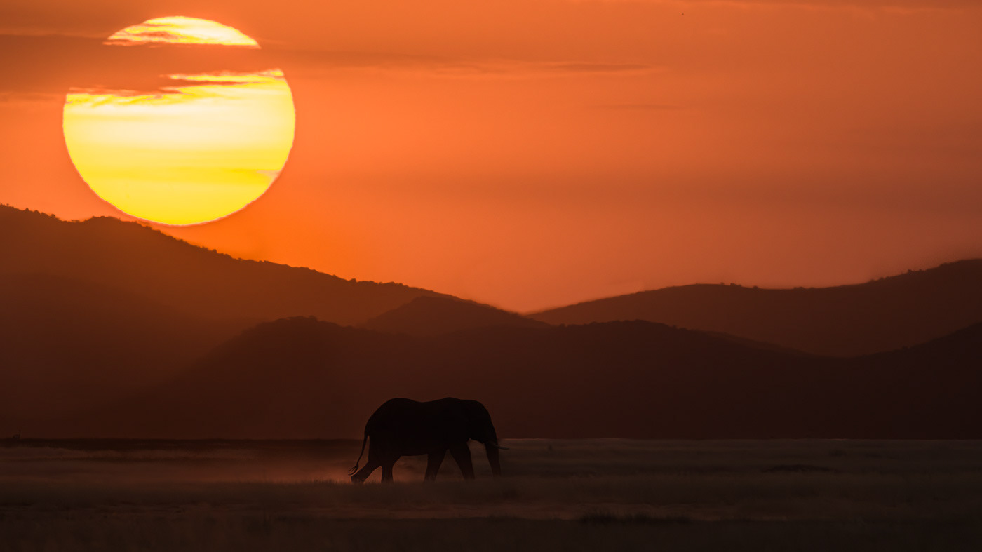 End of Day in Amboseli
