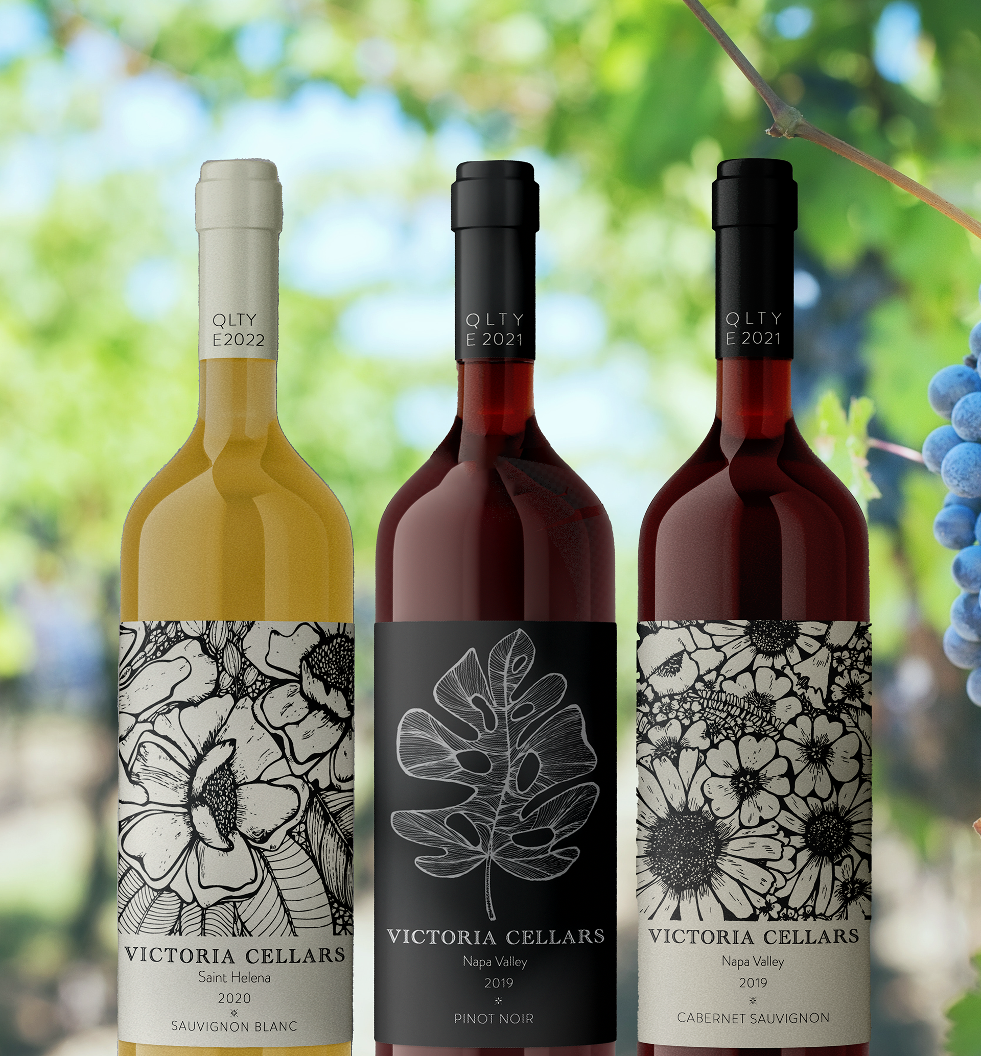 Hand-drawn wine labels