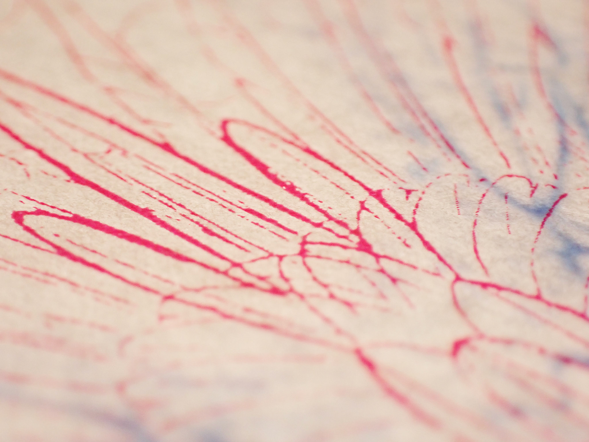 Siebdruck auf Seidenpapier