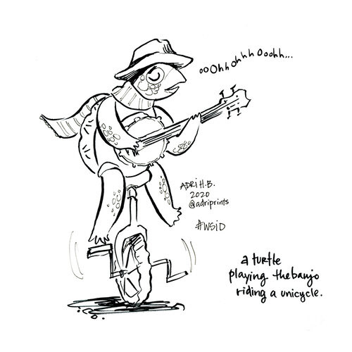 turtle unicycle