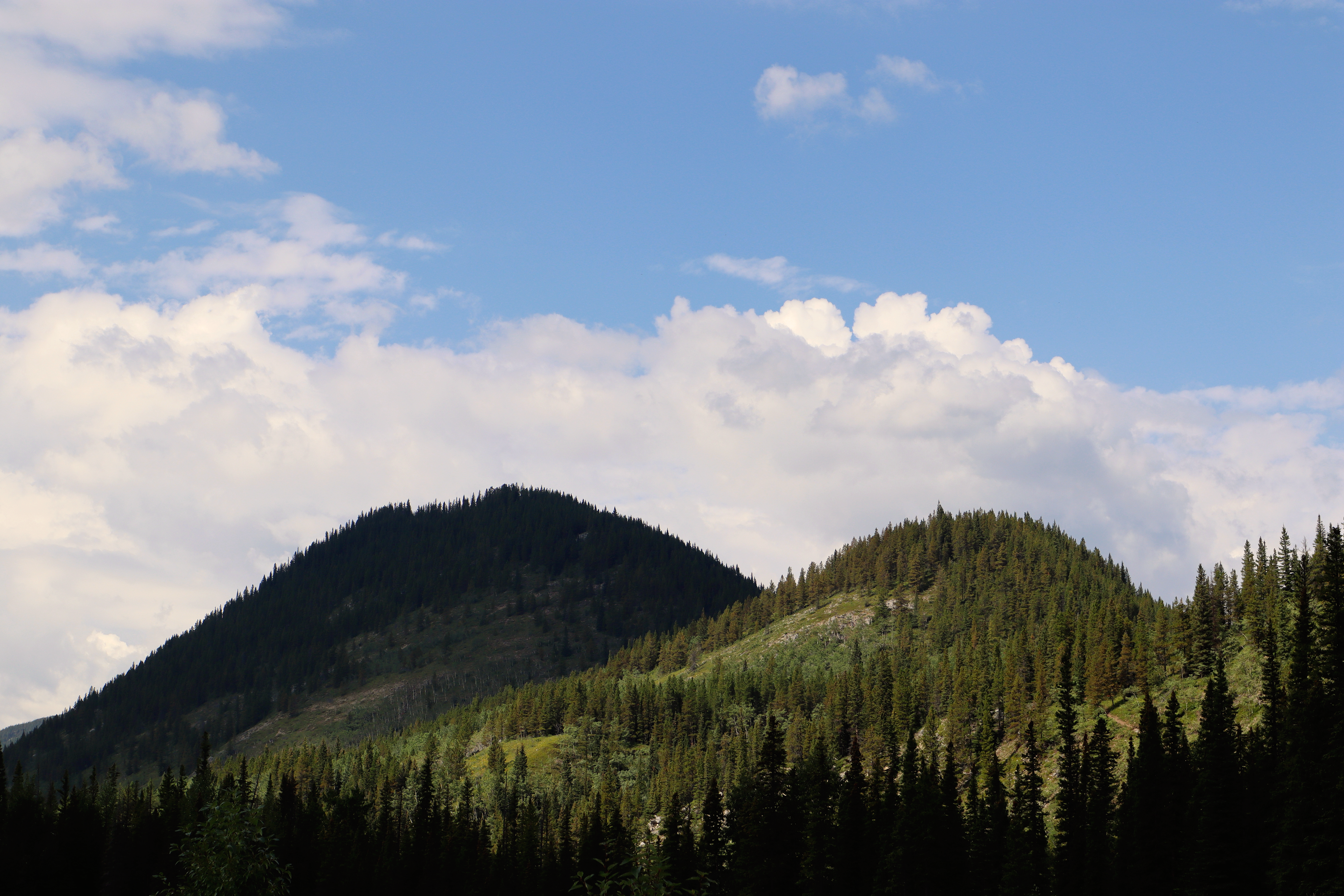 Elbow Falls 2022 - Photography by Nikki Montilla