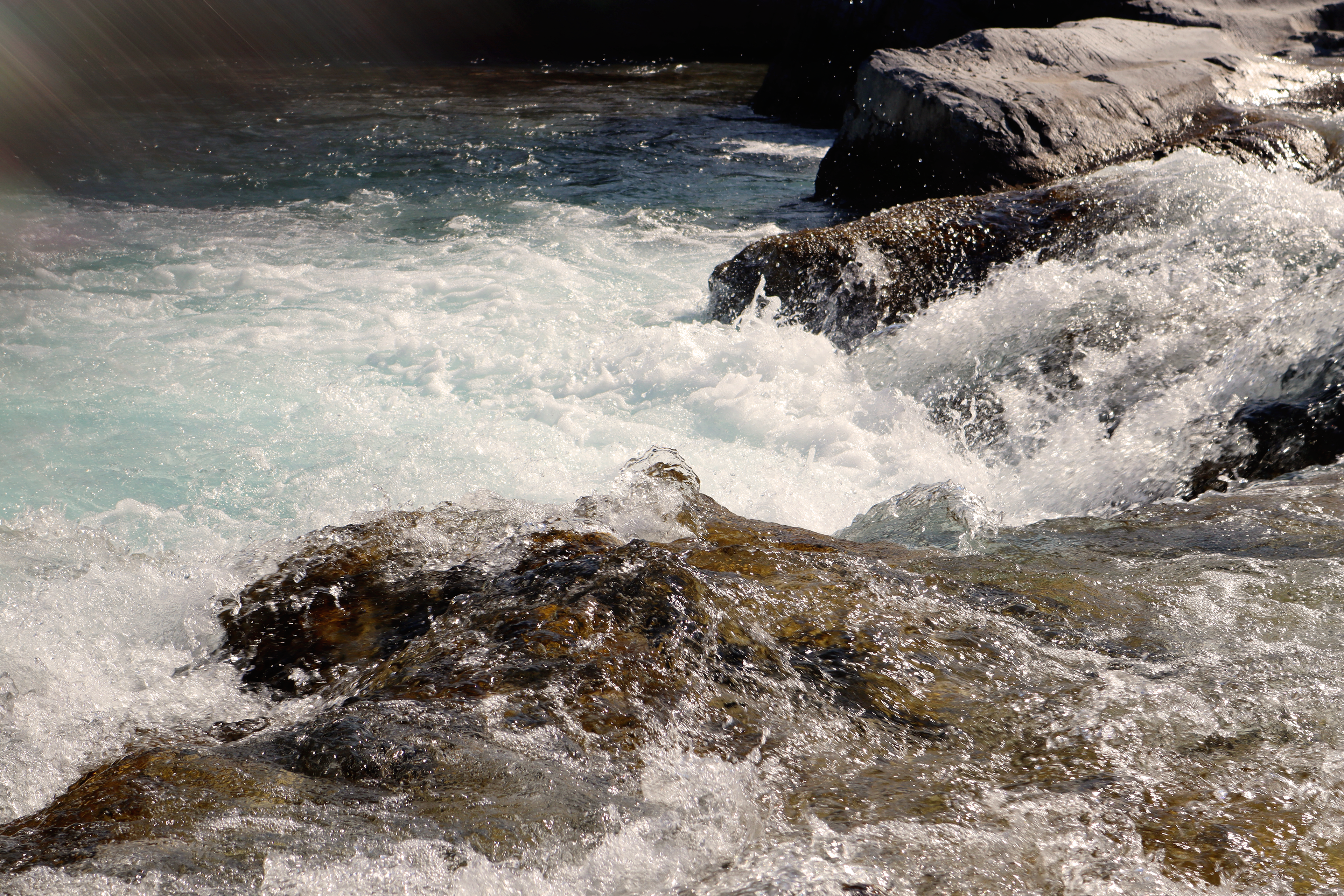 Elbow Falls 2022 - Photography by Nikki Montilla