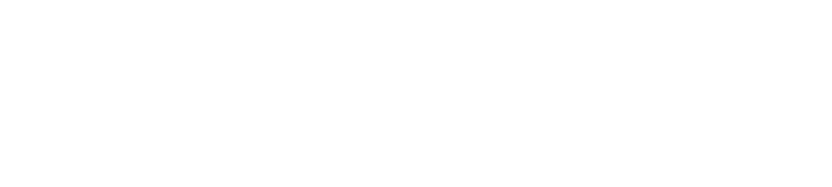 Estevam Junior