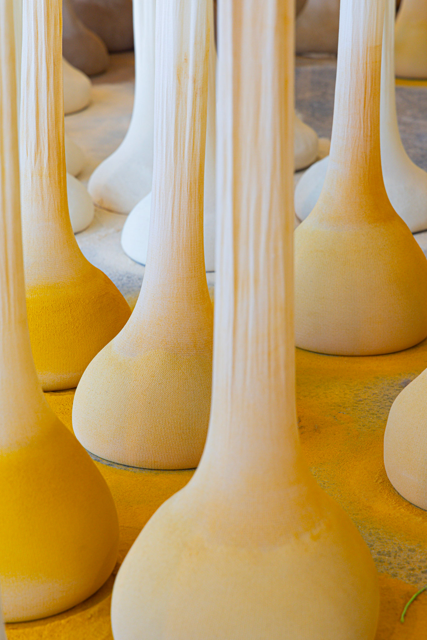 Brazilian artist Ernesto Neto’s 2002 installation at the Art Gallery of New South Wales envelops viewers in a sensory experience through its use of translucent polymer fabric and aromatic spices. The work’s suspended, bulging forms evoke the human body and natural elements, inviting contemplation on the interplay between the organic and the constructed.