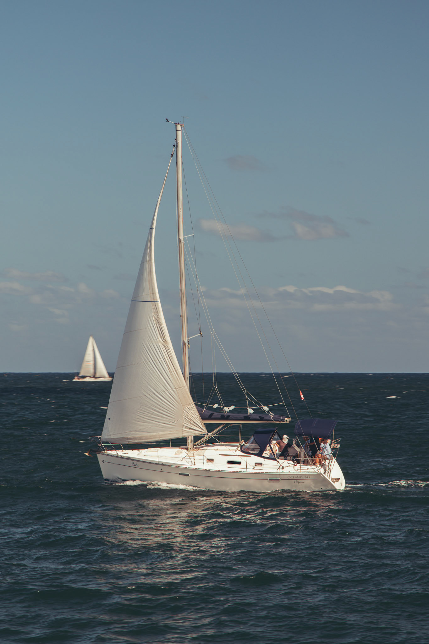 A sailboat catches a steady breeze and glides across Sydney Harbour, painting a tranquil scene on a bright summer afternoon.