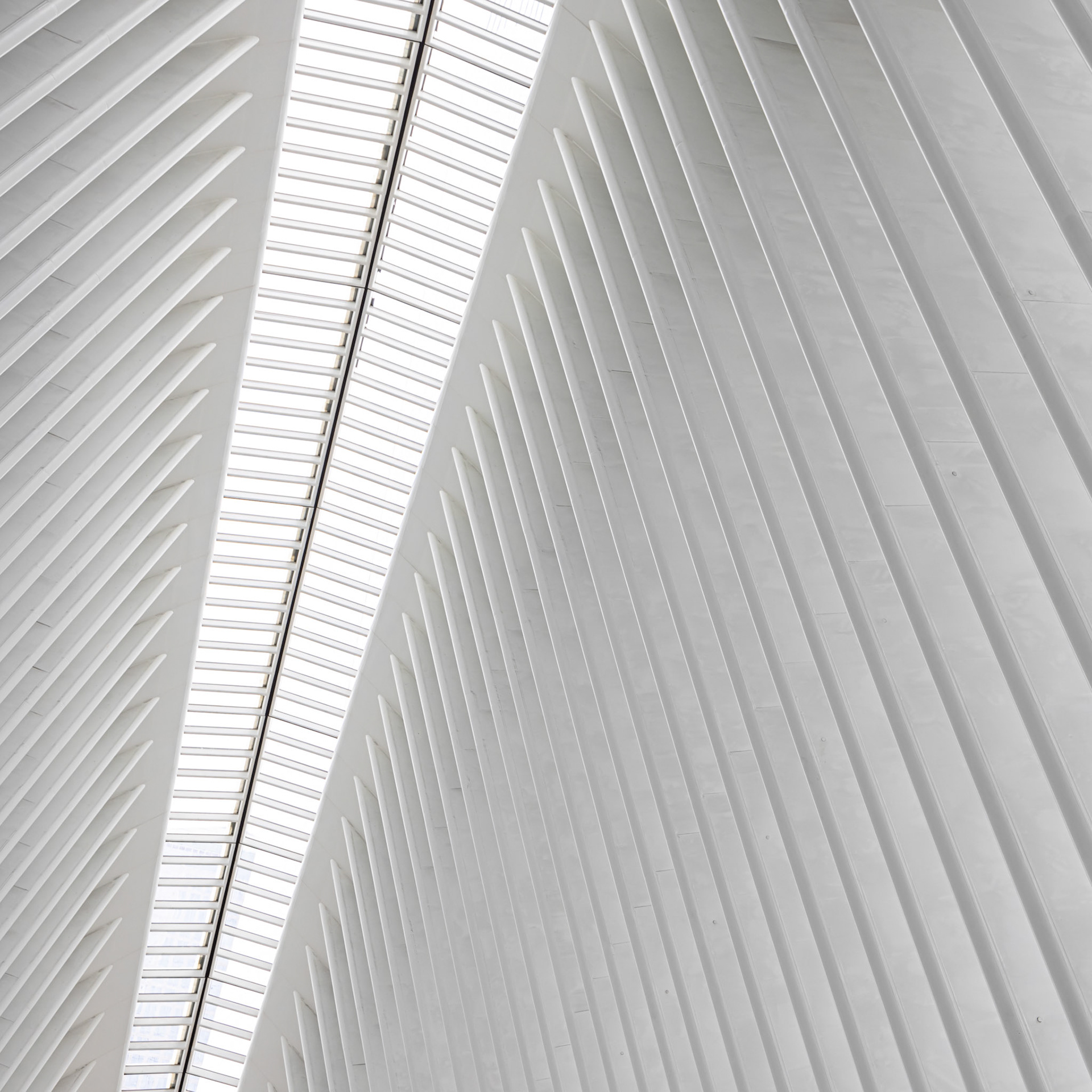 Inside the Oculus at the World Trade Center in Manhattan, this photo highlights the stunning architectural details and sleek lines of the structure. Designed by Santiago Calatrava, the Oculus exemplifies the potential of beautiful public spaces, combining functionality with breathtaking design to create an inspiring environment that elevates the urban experience.