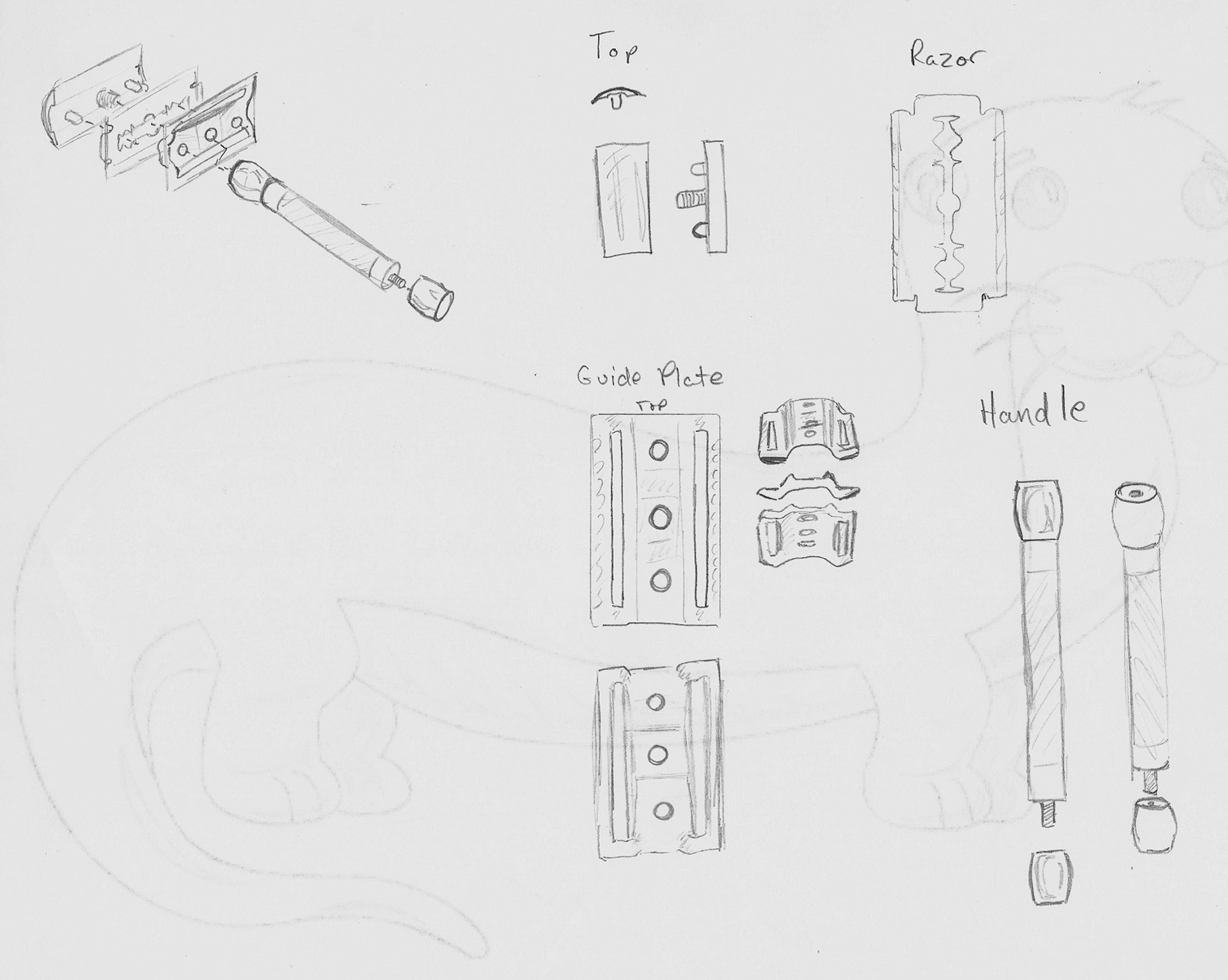 Preliminary Sketches