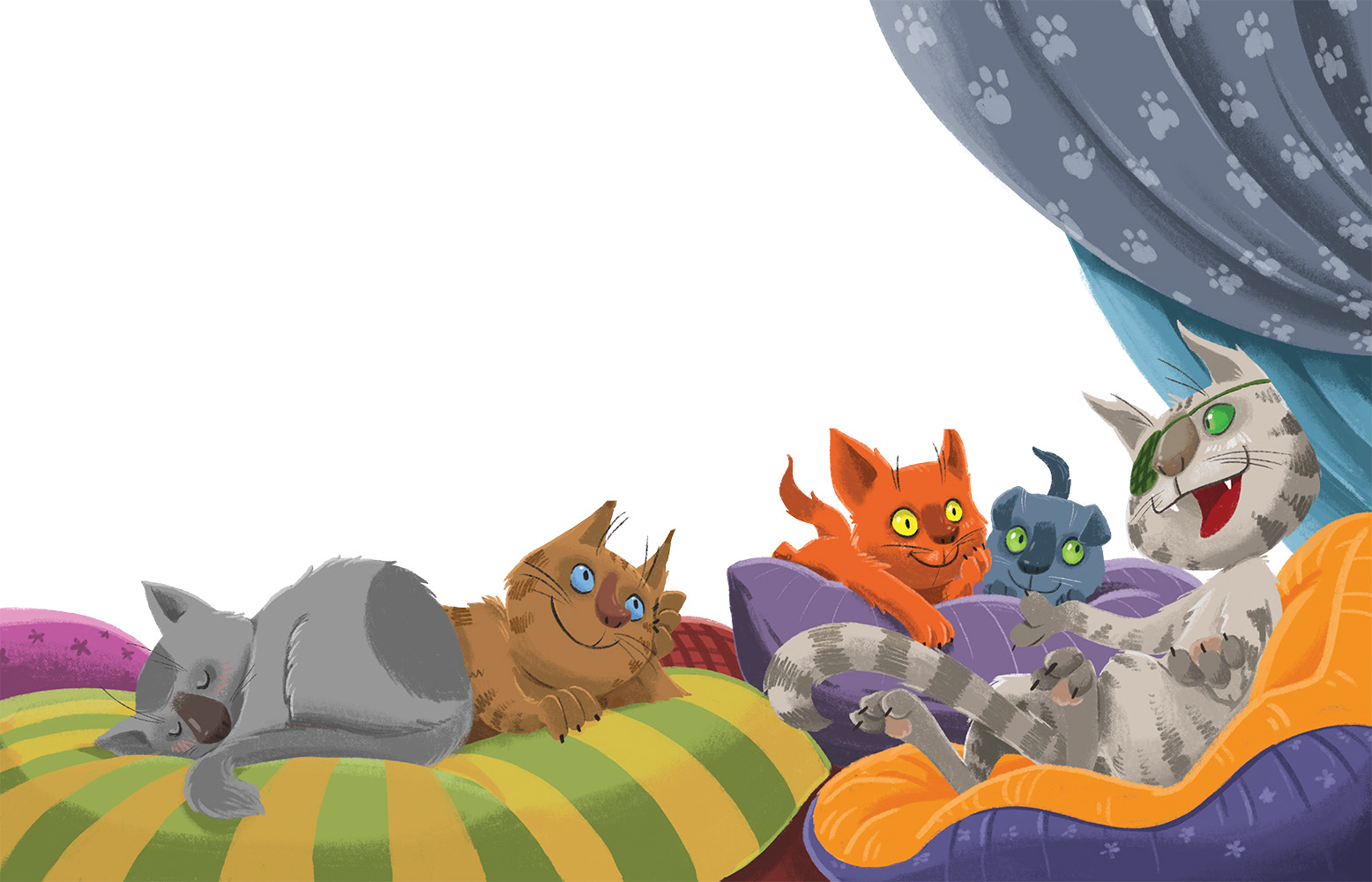 36 and 6 cats-companions