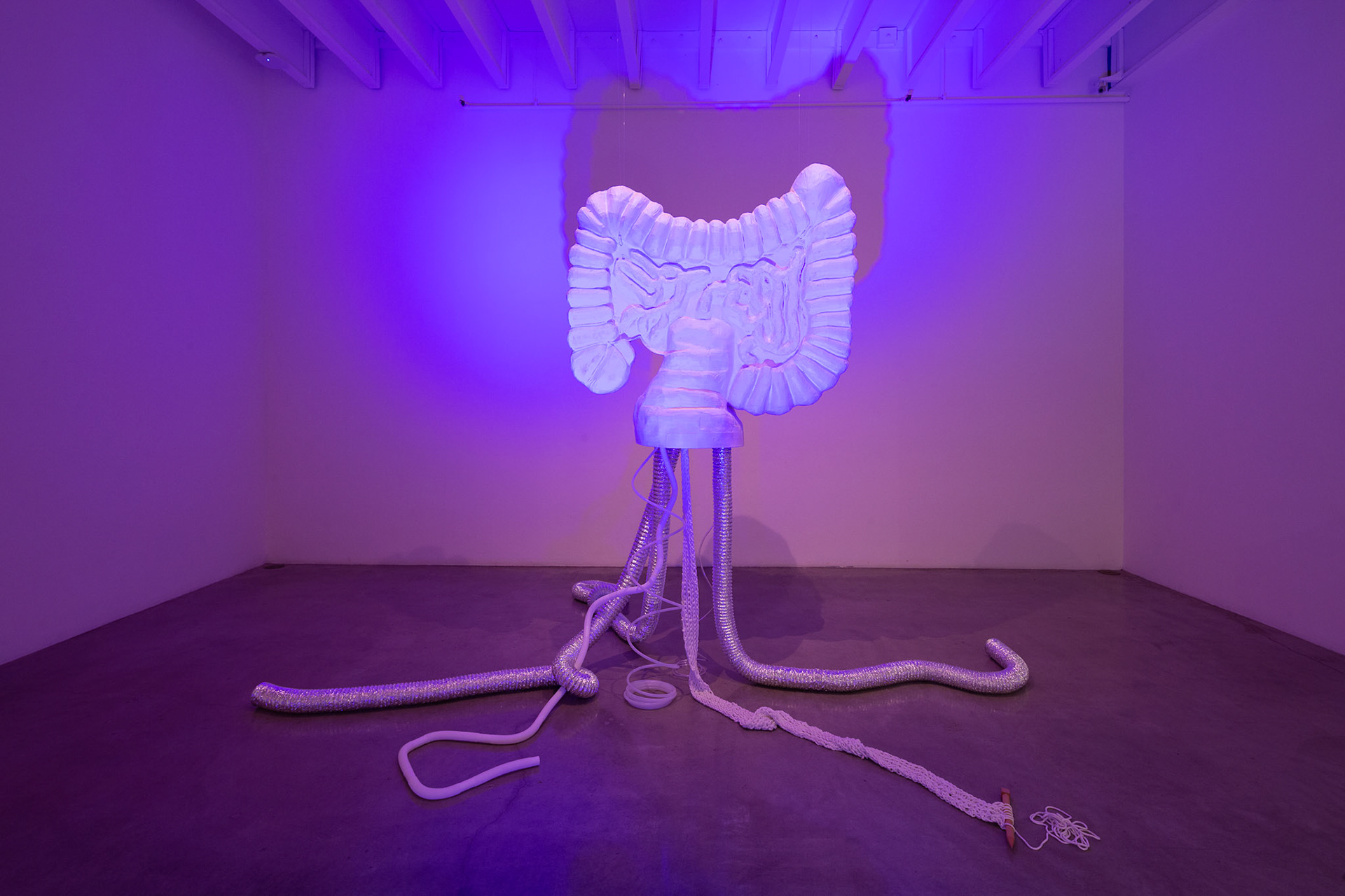 Meg Gut, 2023, Papier-mache, mixed media, and sound, 102 in x 174 in