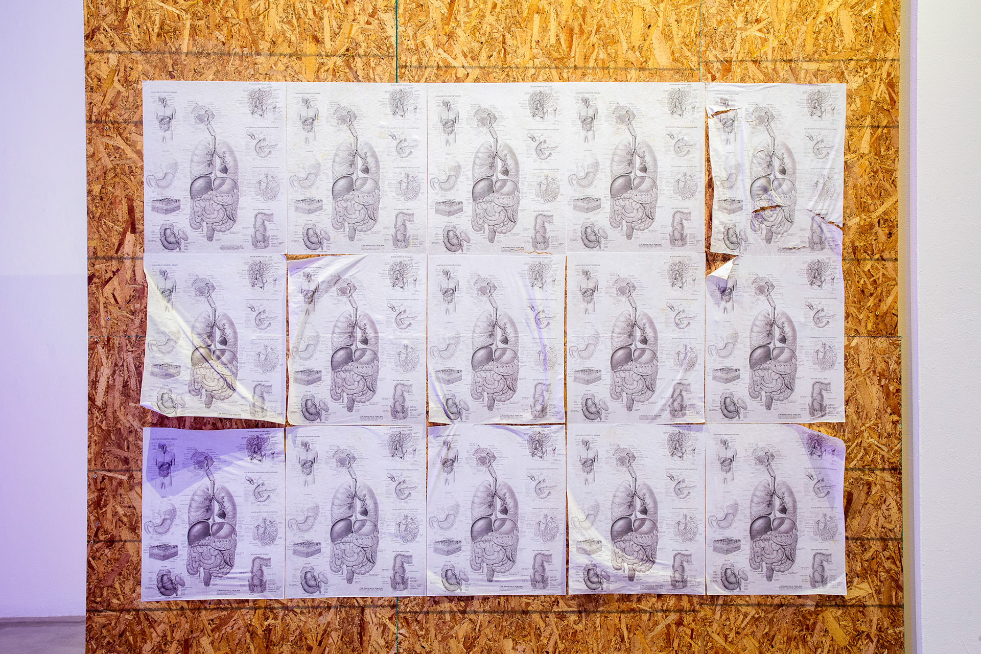 Wild, Wild, 2023, Inkjet prints, OSB board, and crown molding, 118 in x 96 in