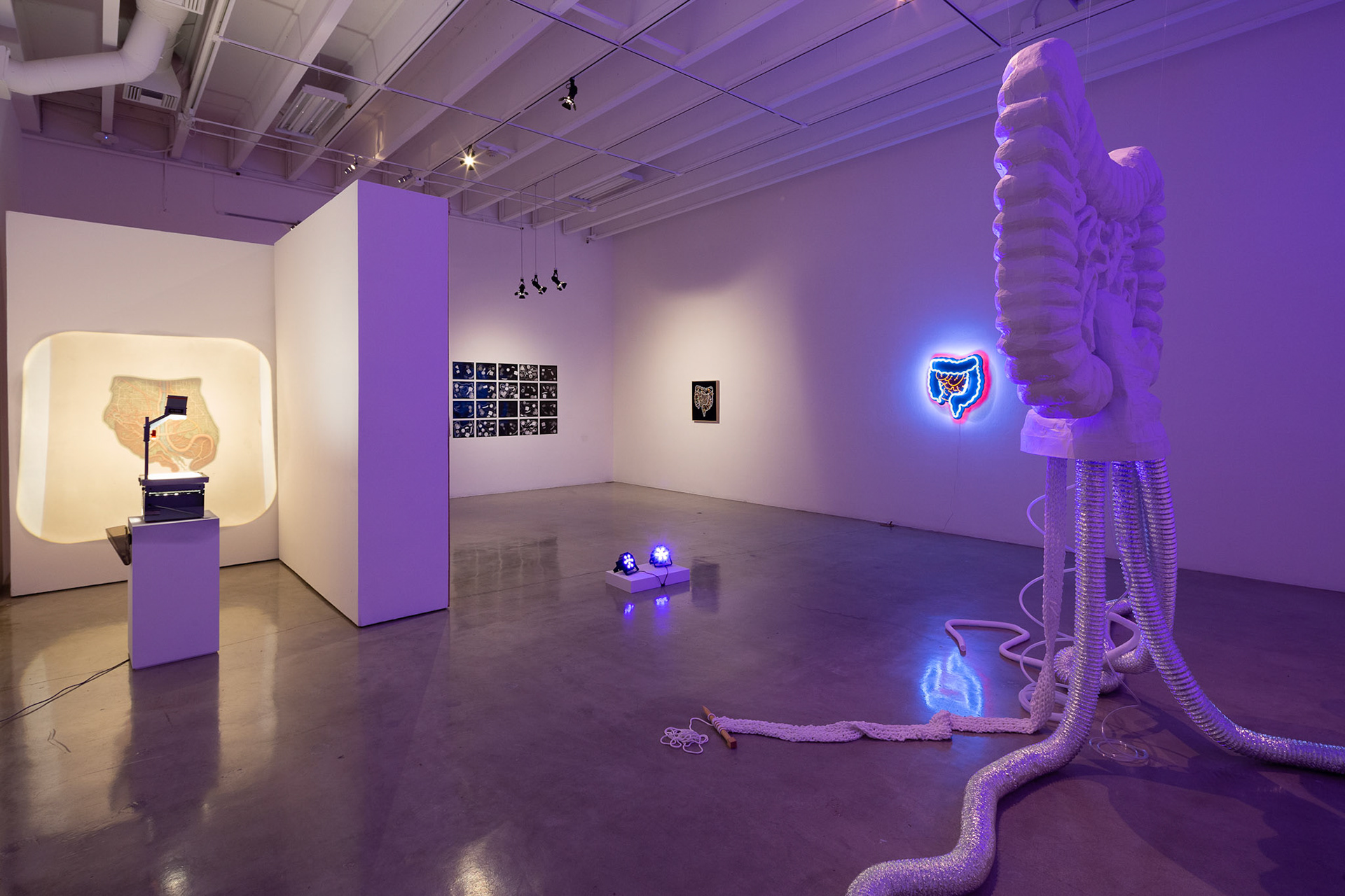 MFA Thesis Exhibition