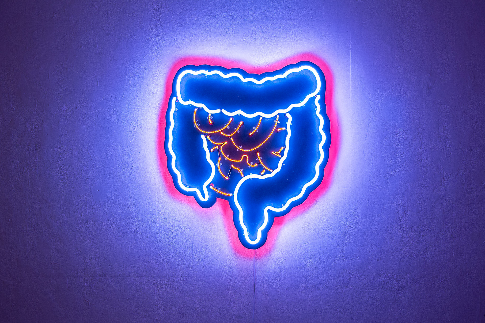 Roadside Attraction, 2023, Neon on wood, 31 in x 25 in
