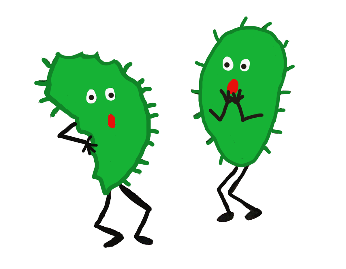 Children's book illustrations for RISDCE Graphic Design final project. 