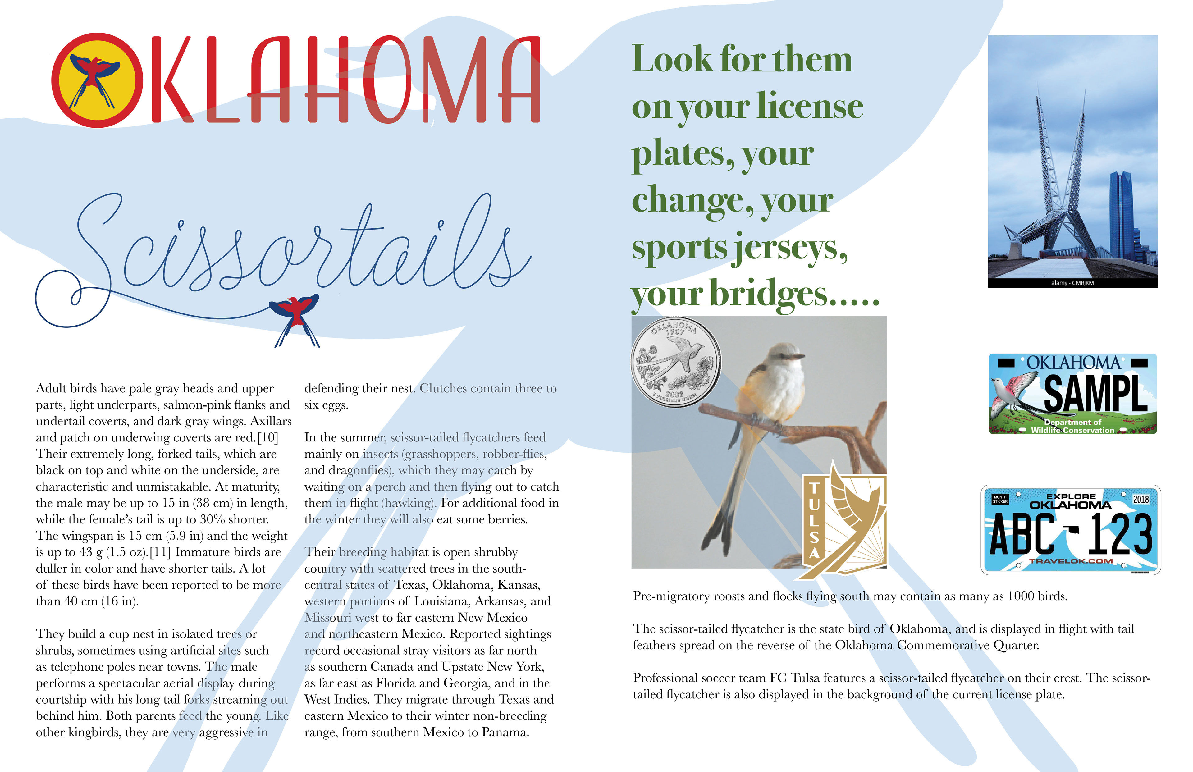 Magazine spread using Adobe Illustrator and InDesign, project for RISDCE Graphic Design certificate