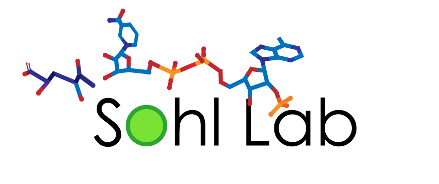 Logo developed for Sohl Lab webpage, in Adobe Illustrator