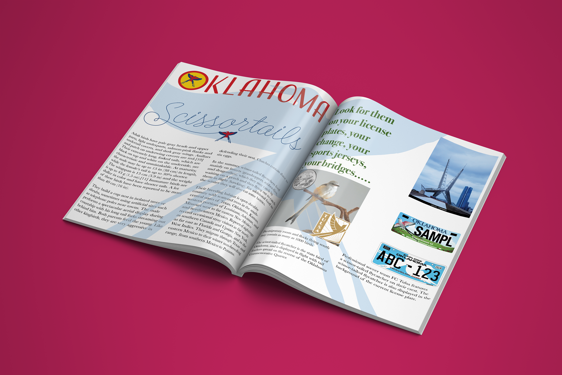 Mockup magazine spread using Adobe Illustrator and InDesign, project for RISDCE Graphic Design certificate