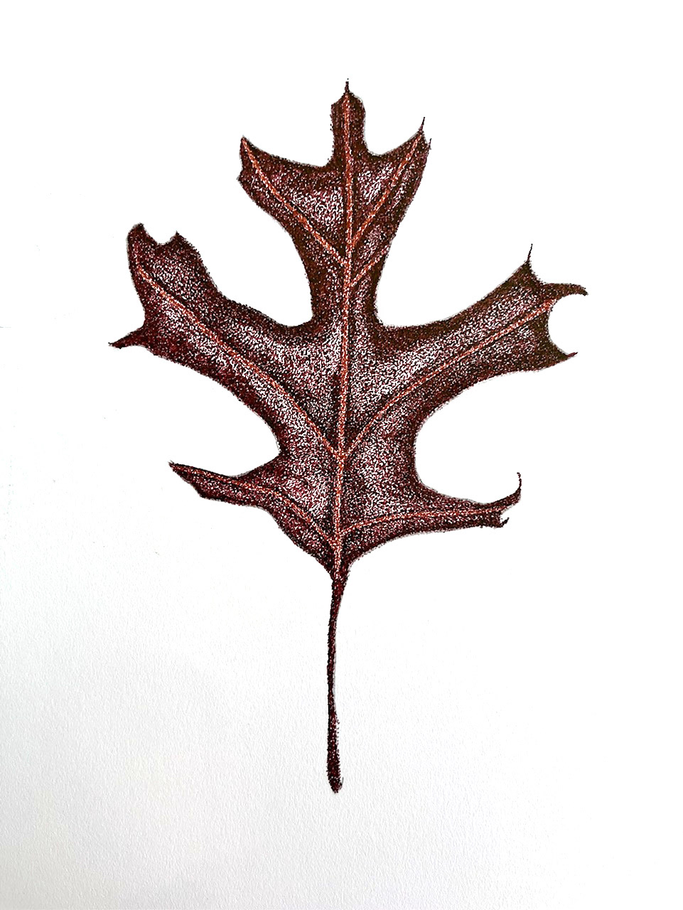 Autumn leaf, micron technical pen