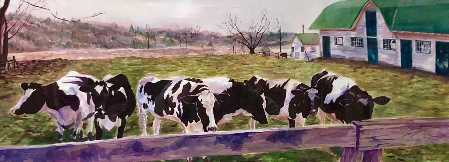 Cows! Watercolor.