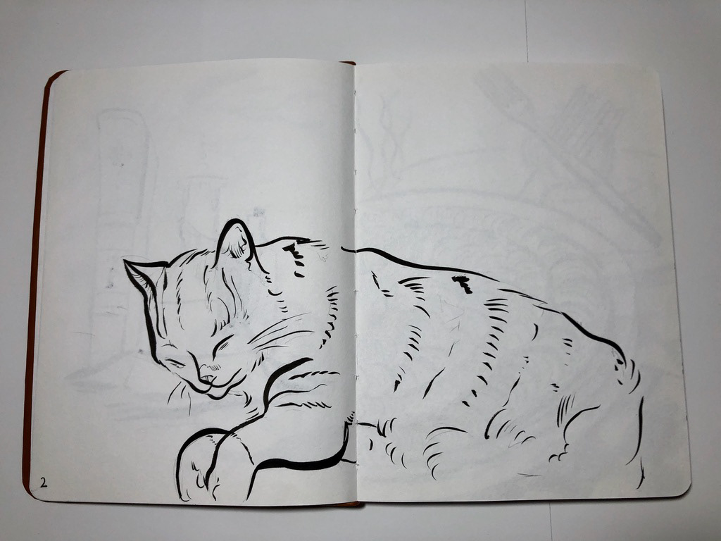 Rosie Asleep. Brush Pen and Ink.