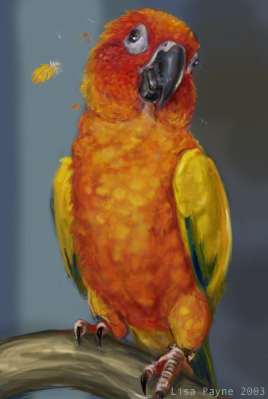 digital