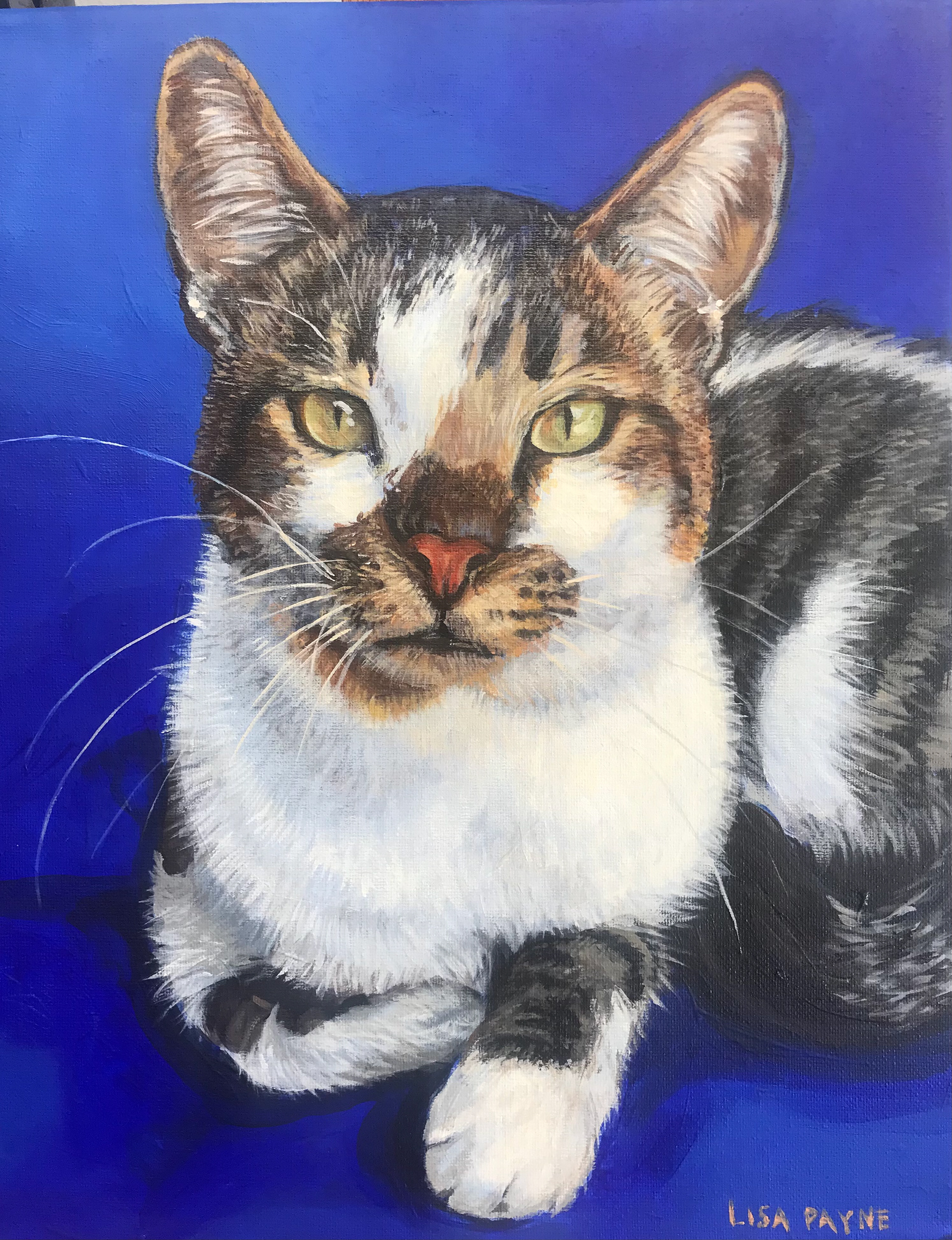 acrylic paint