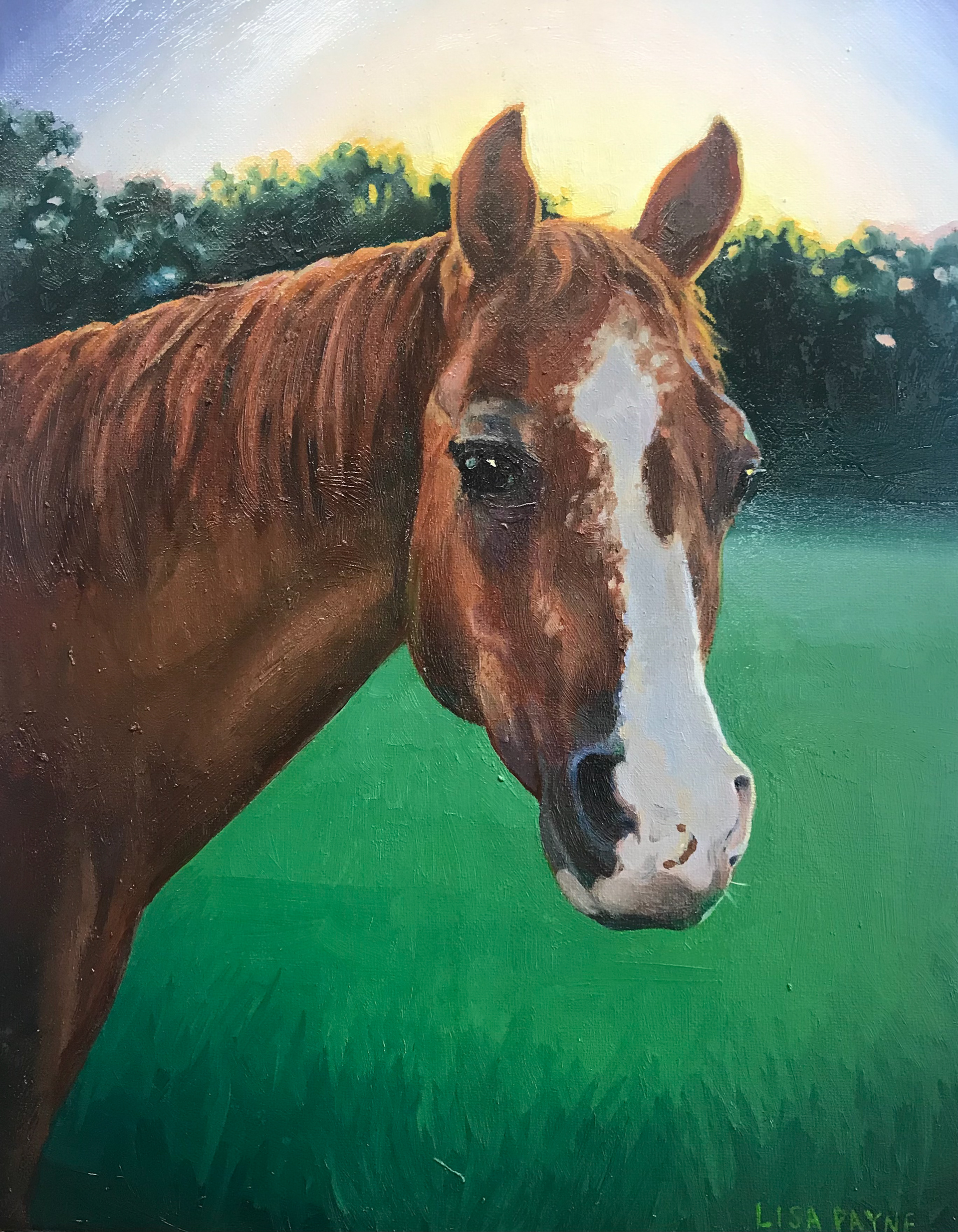 oil paint