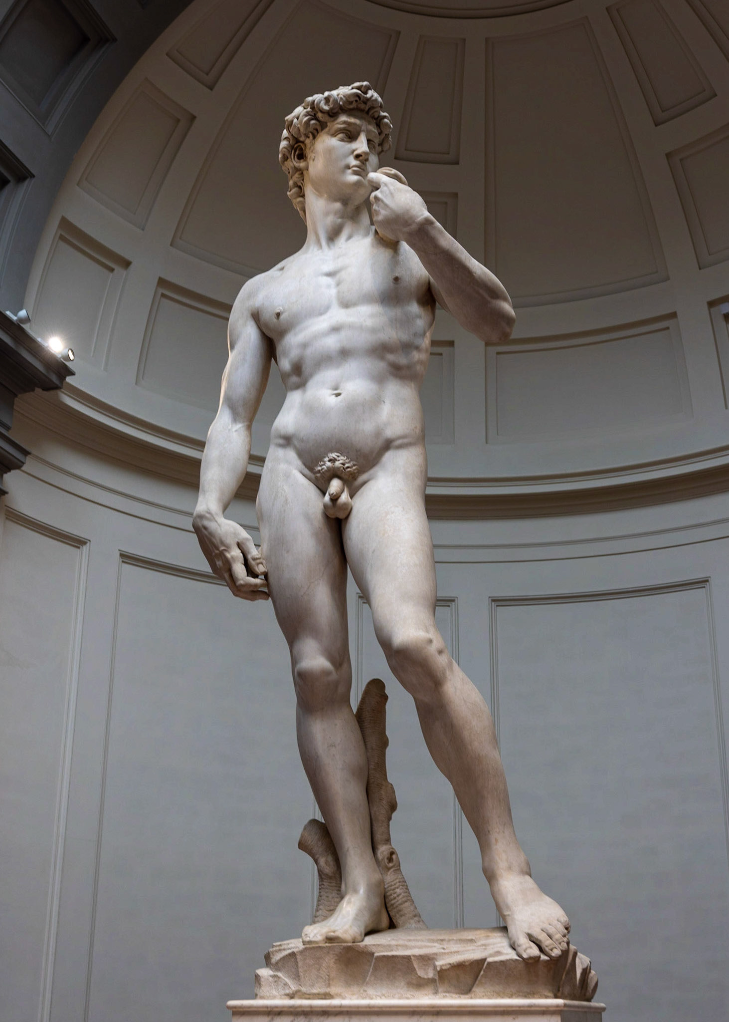 Michelangelo's David