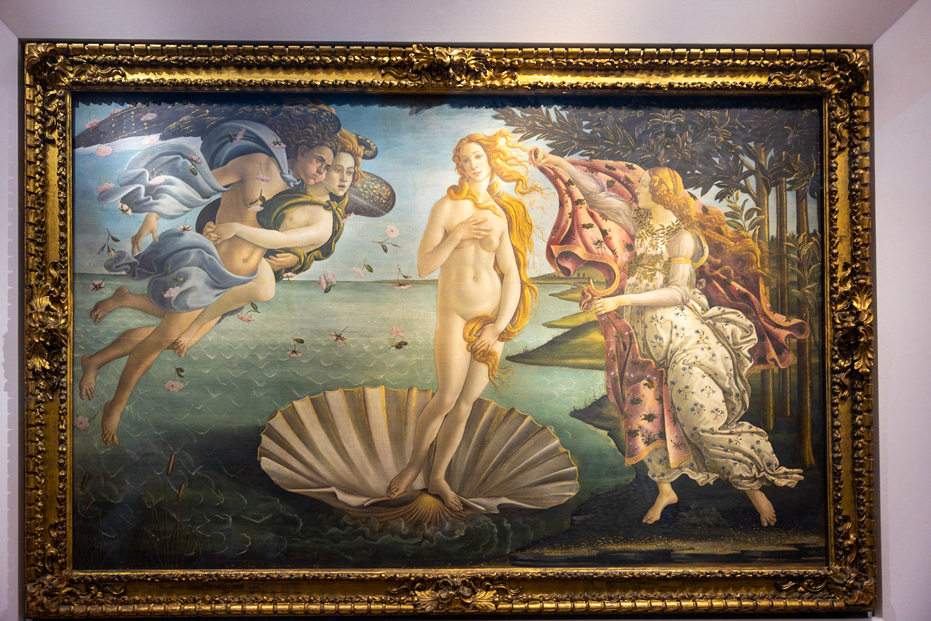 Botticelli's Girth of Venus, circa 1485